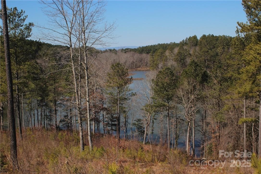 Lot at 2226 Inlet Shore Road NE, Connelly Springs, photo 12 of 15
