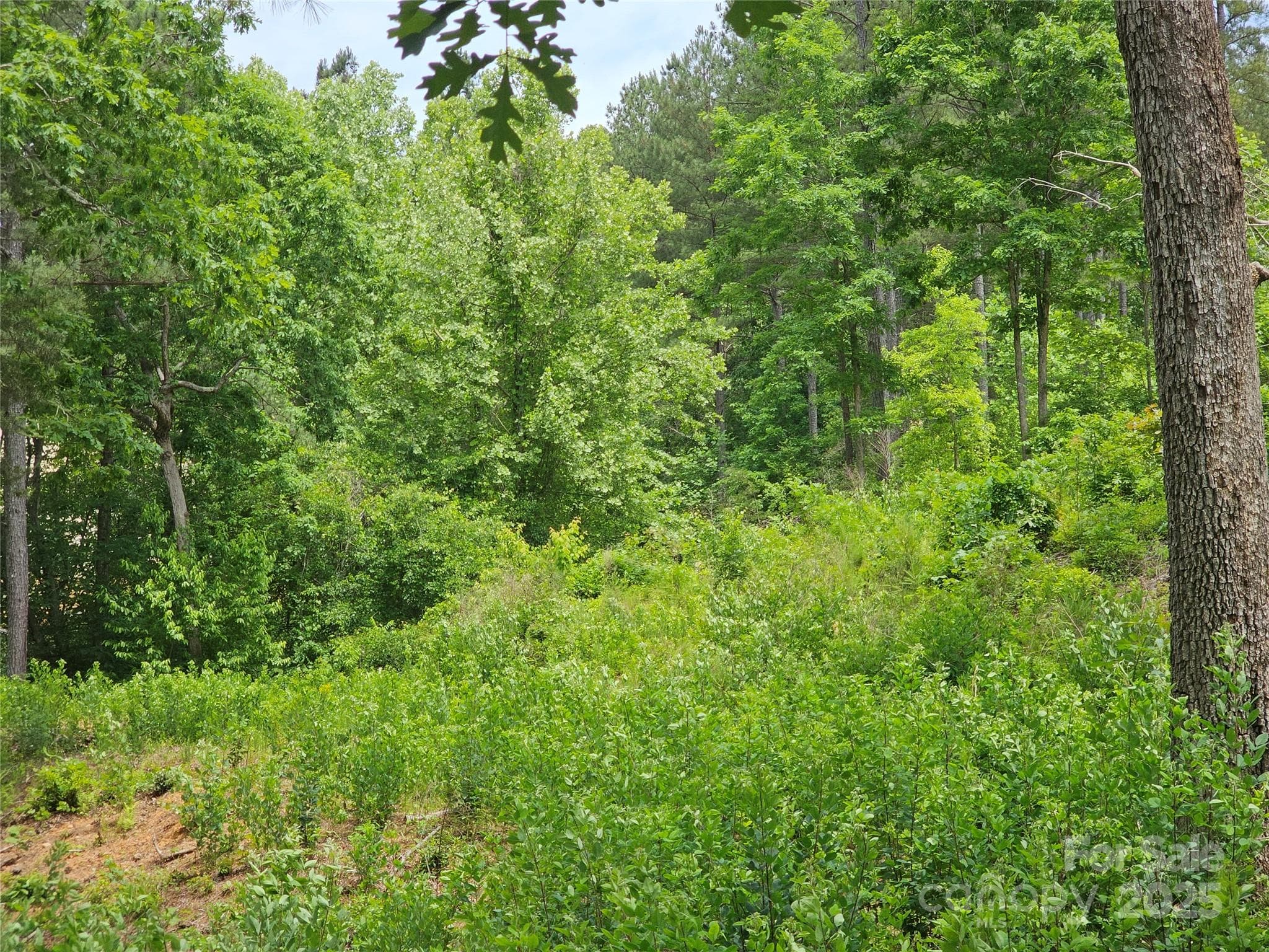 Lot at 2226 Inlet Shore Road NE, Connelly Springs, photo 15 of 15