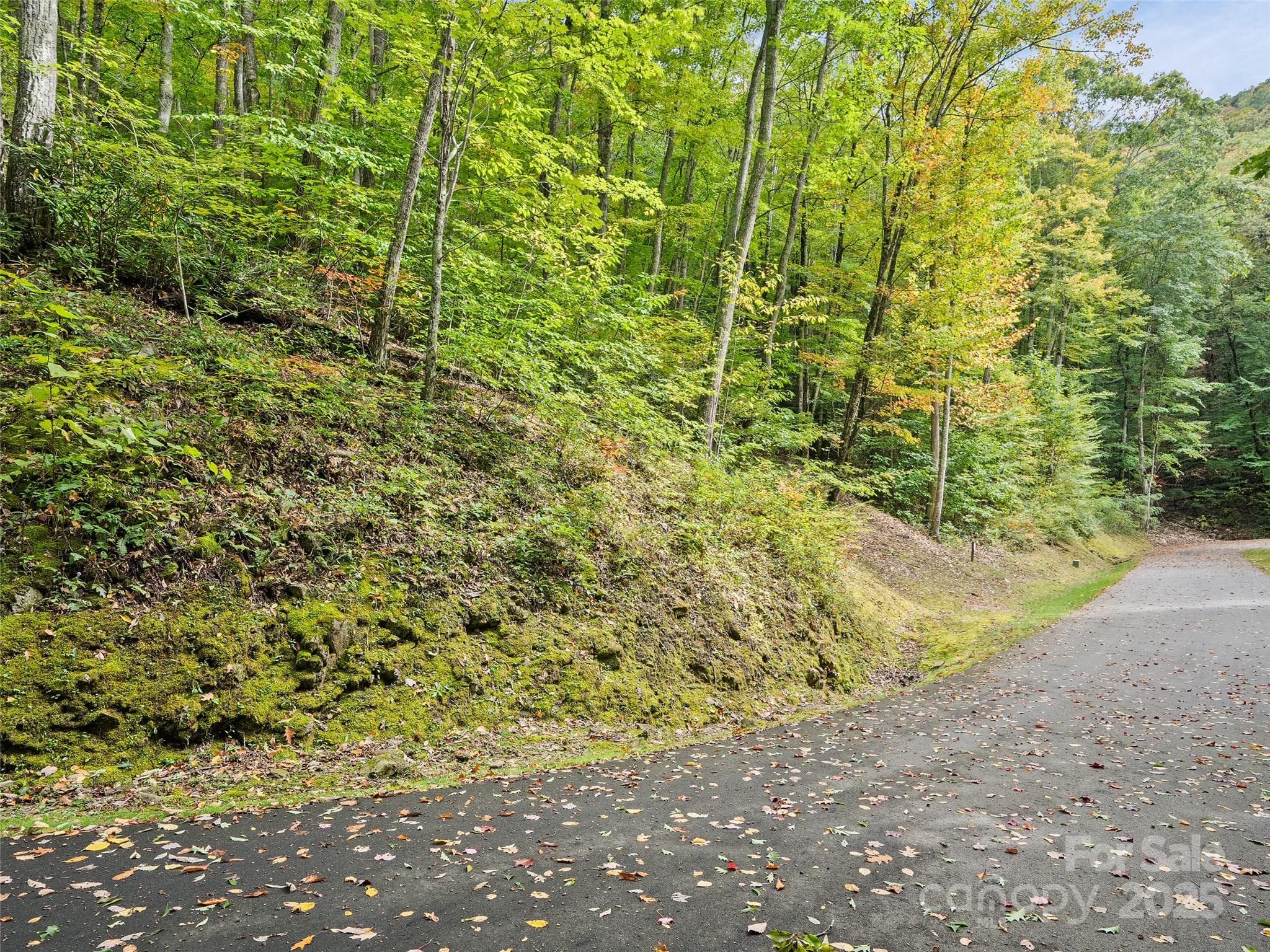 Lot at Waynesville, photo 2 of 19
