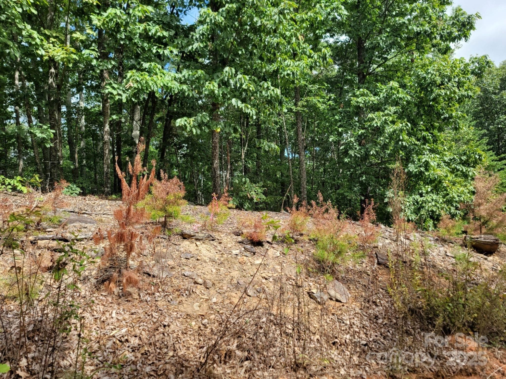 Lot at 219 Judy Road, Casar, photo 2 of 11