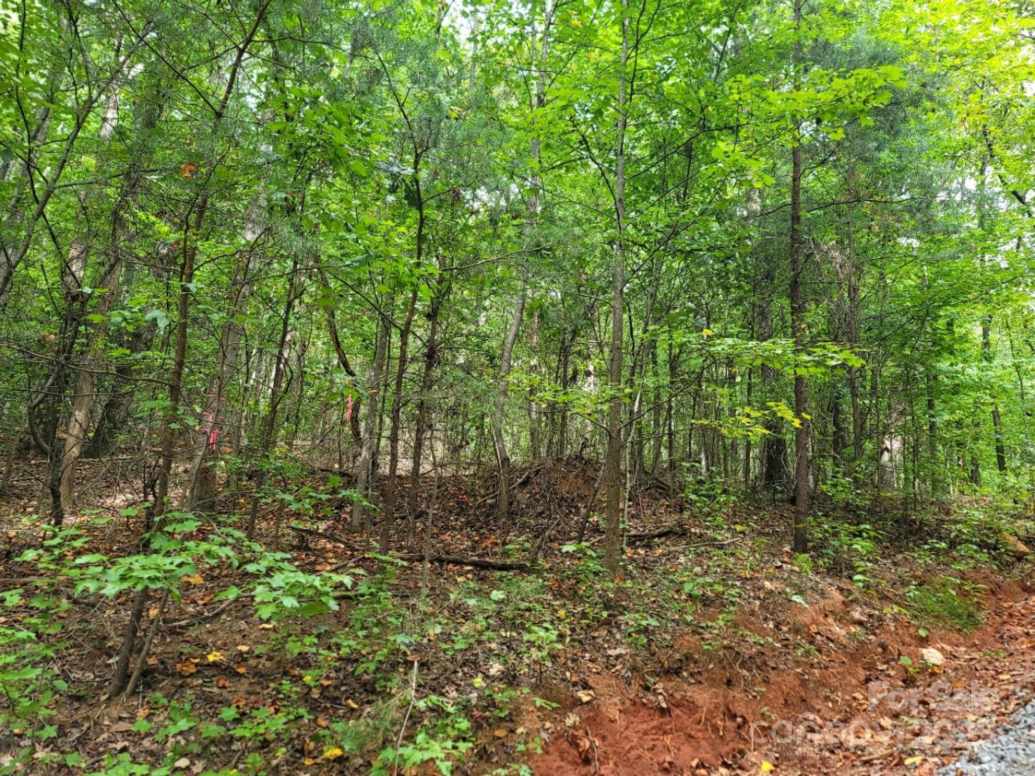 Lot at 219 Judy Road, Casar, photo 3 of 11