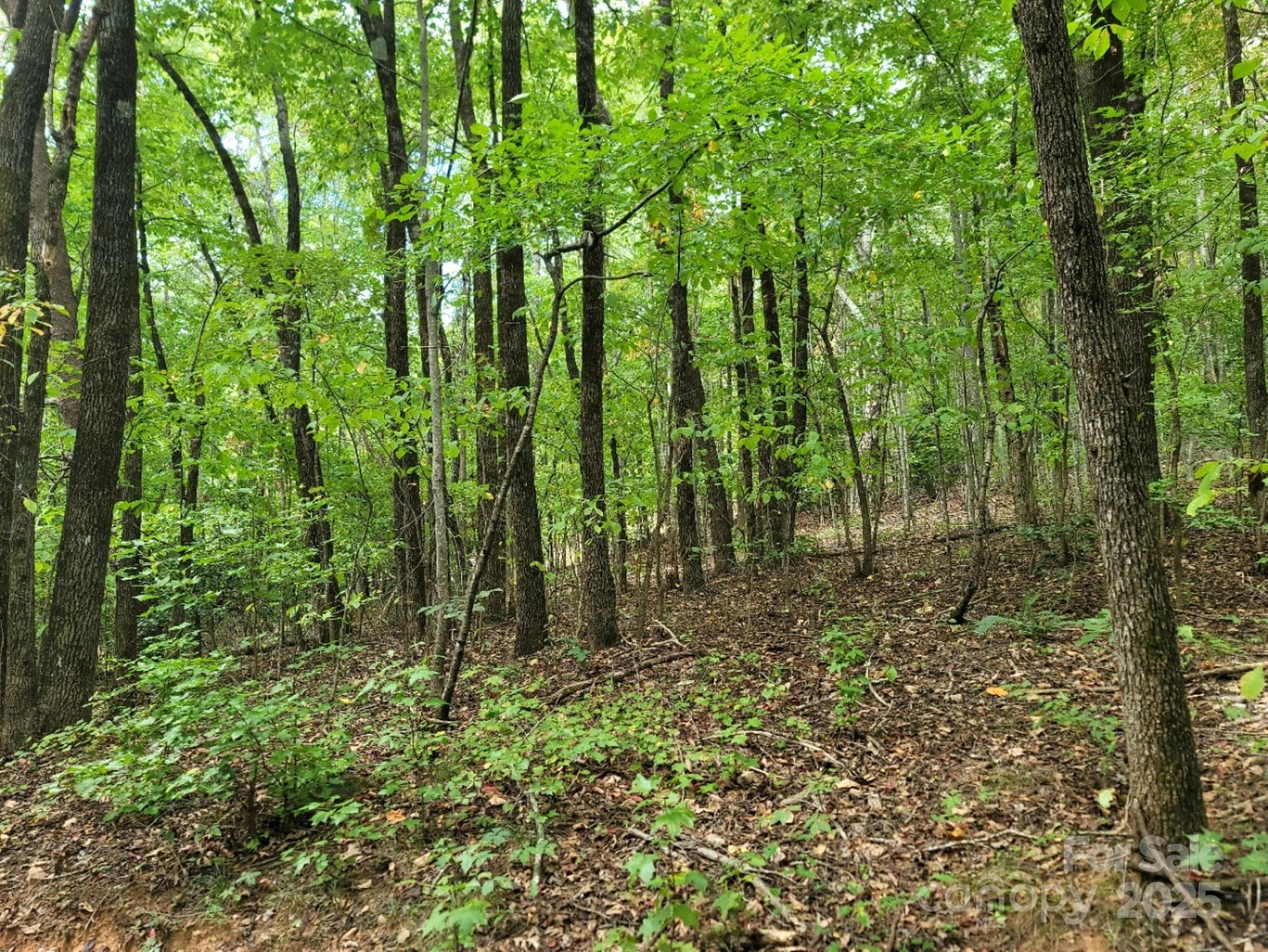 Lot at 219 Judy Road, Casar, photo 5 of 11