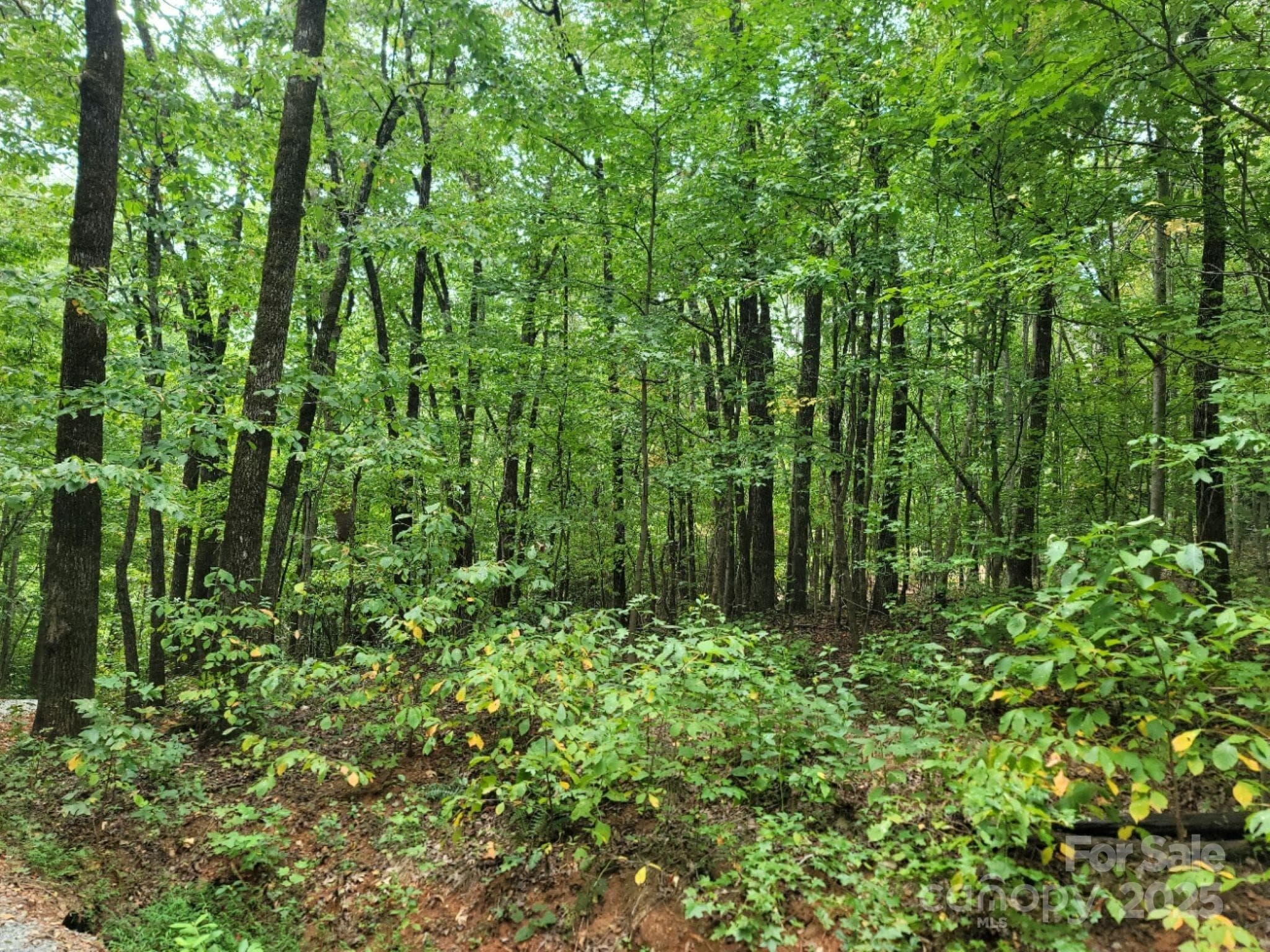 Lot at 219 Judy Road, Casar, photo 6 of 11