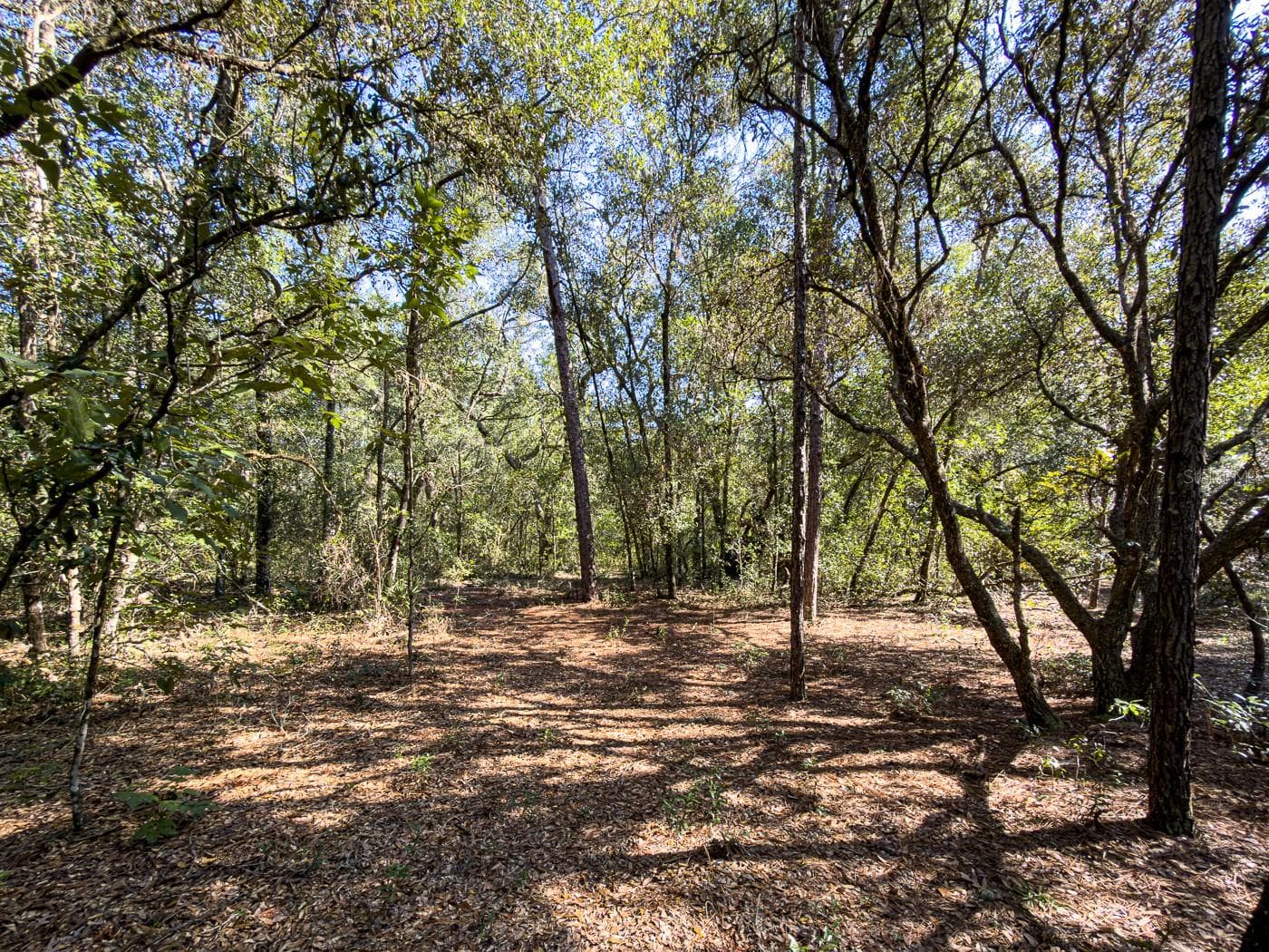 Land at 34095 HYATT RD, DADE CITY, photo 19 of 45
