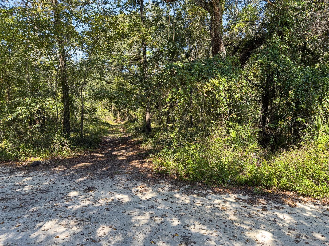 Land at 34095 HYATT RD, DADE CITY, photo 27 of 45