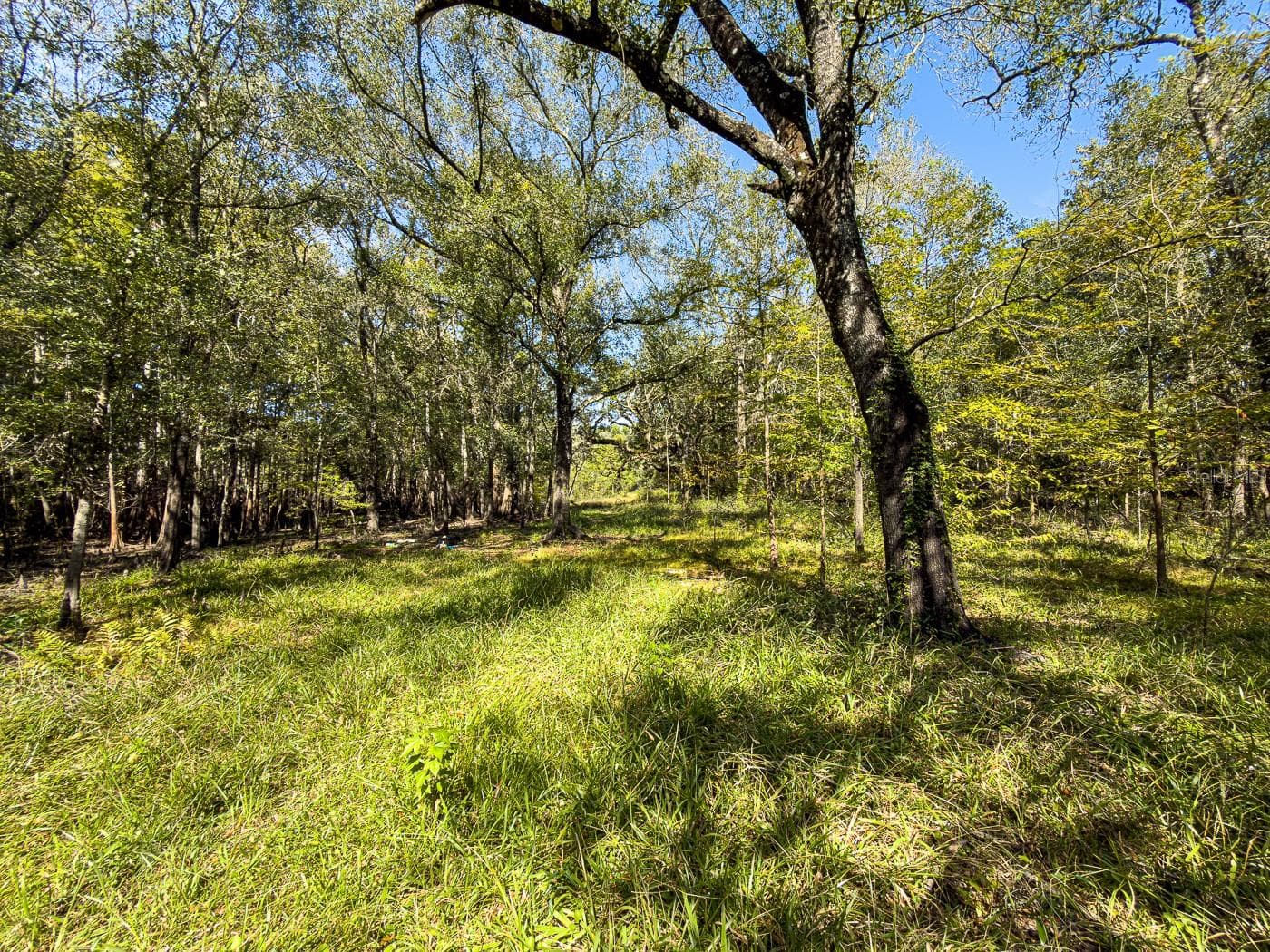 Land at 34095 HYATT RD, DADE CITY, photo 29 of 45