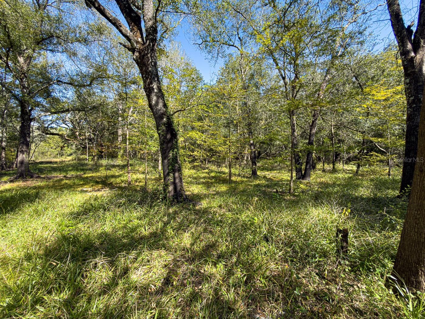 Land at 34095 HYATT RD, DADE CITY, photo 30 of 45