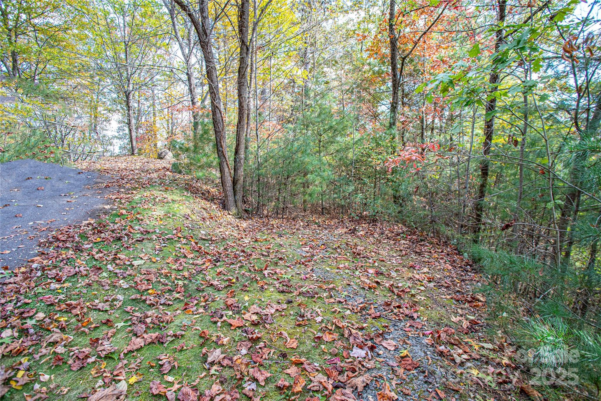 Lot at Brevard, photo 2 of 9