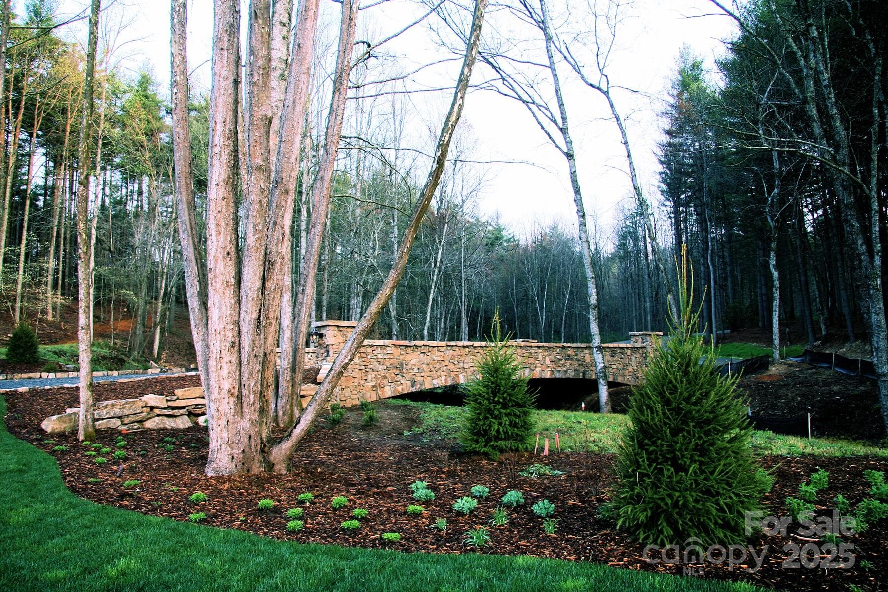 Lot at Brevard, photo 7 of 9