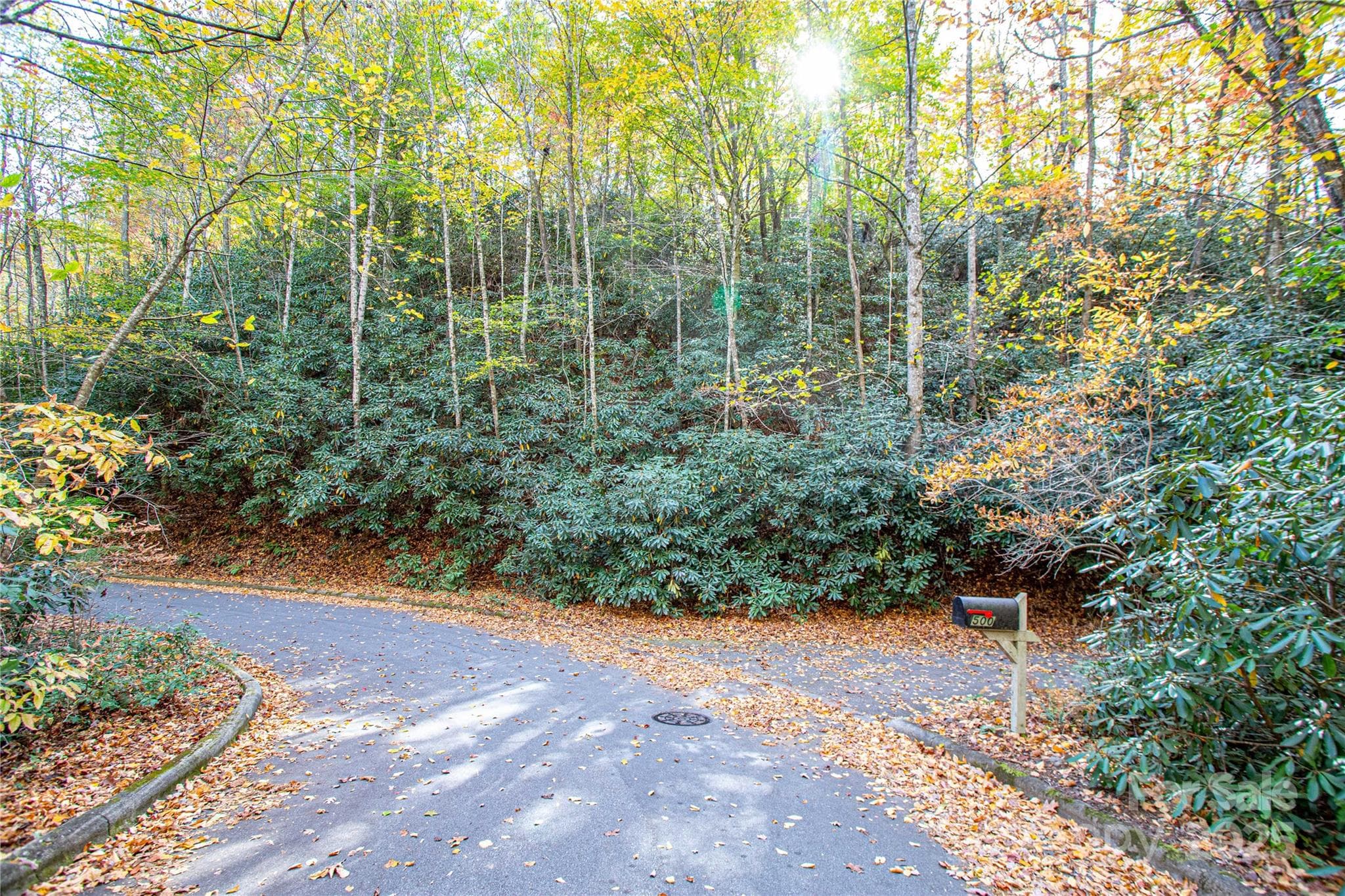 Lot at Brevard, photo 2 of 12