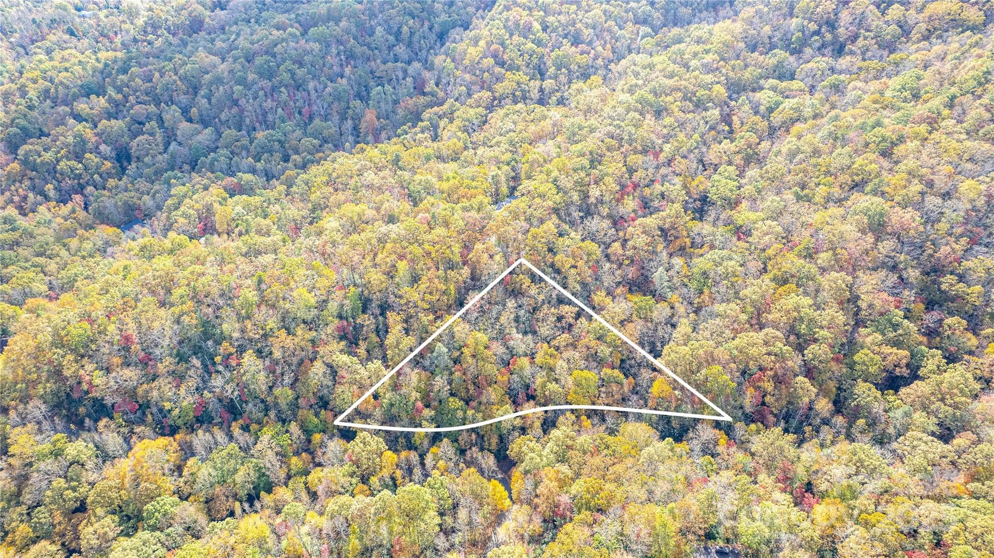Lot at Brevard, photo 4 of 12