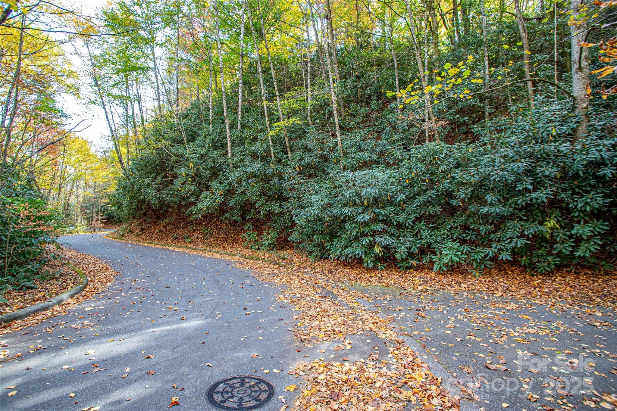 Lot at Brevard, photo 6 of 12