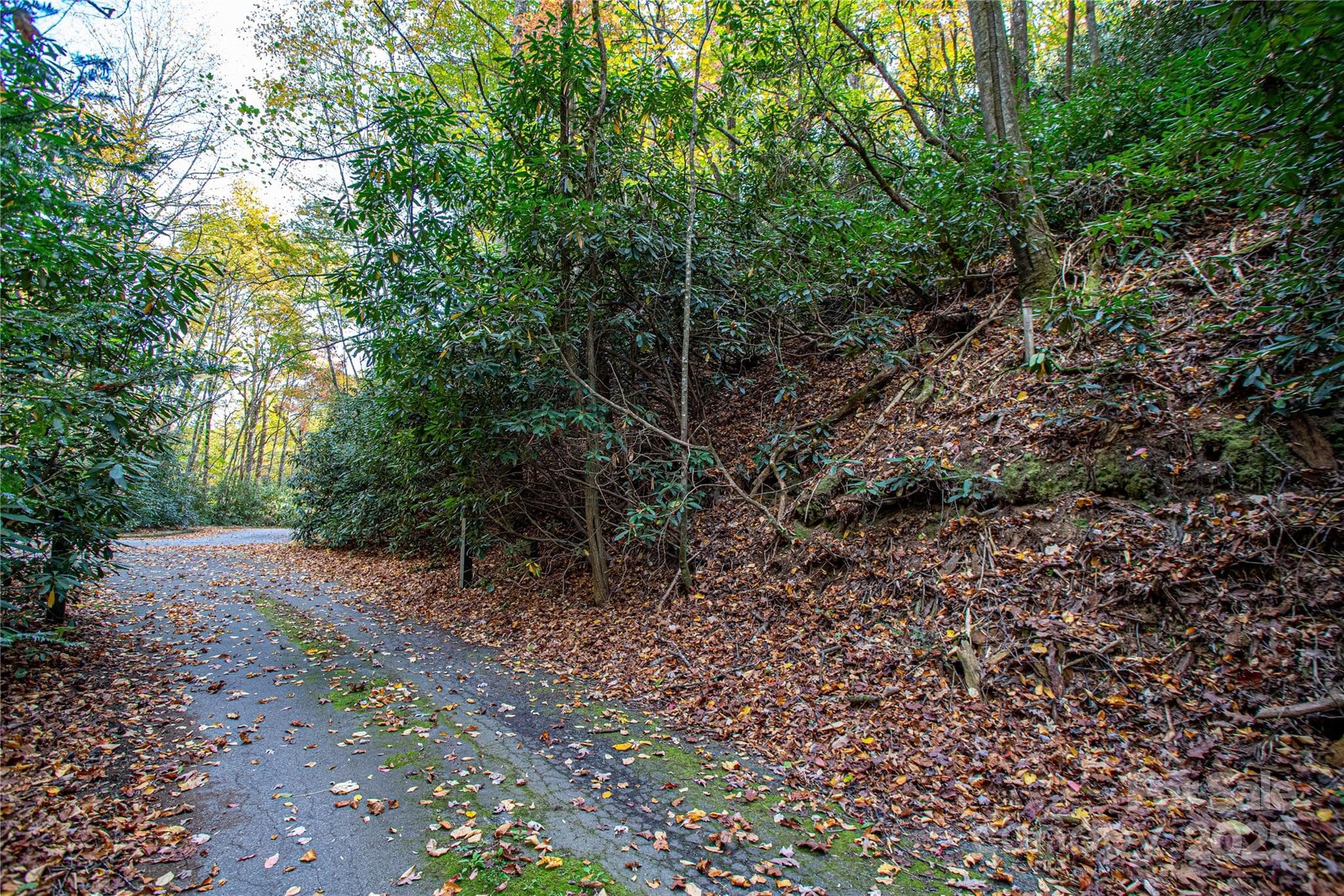 Lot at Brevard, photo 8 of 12