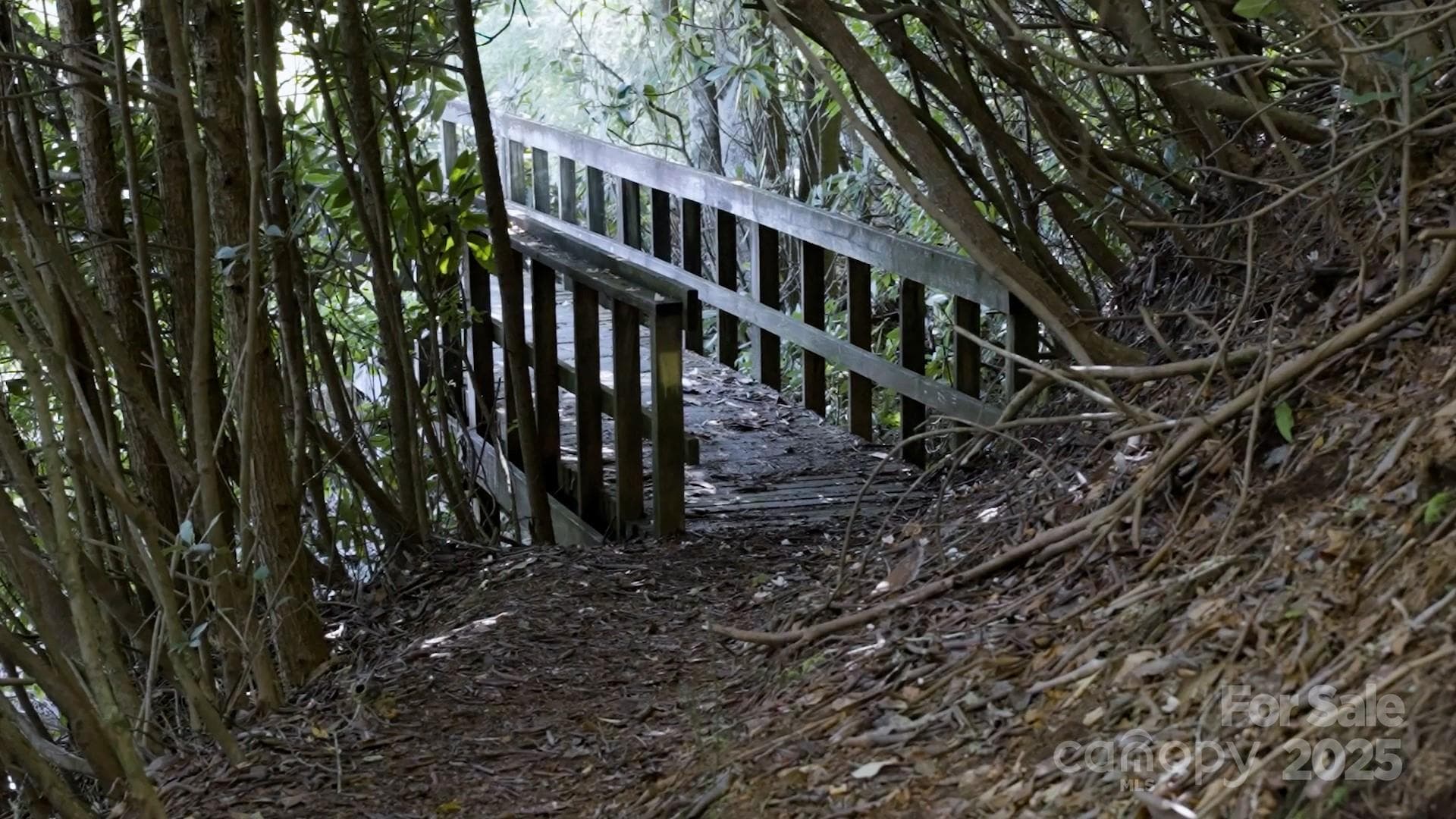 Lot at Brevard, photo 9 of 12