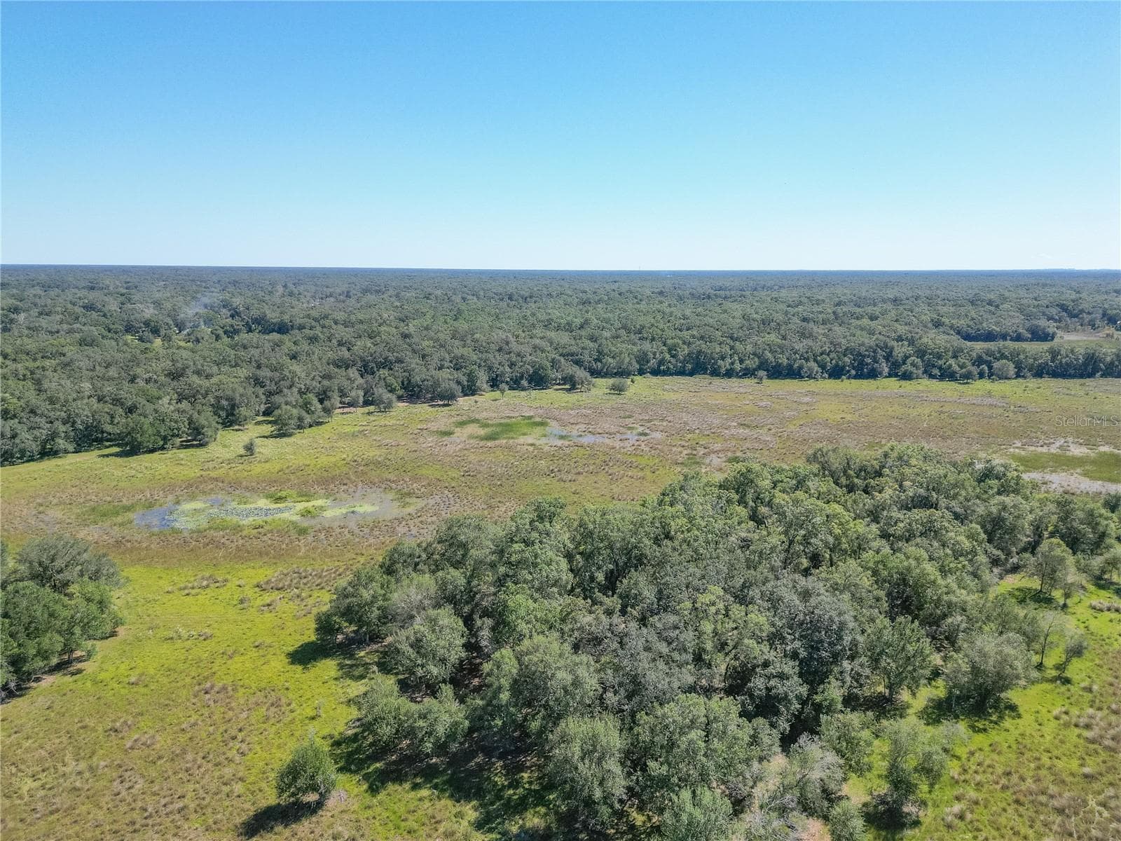 Land at TBD CR 673, WEBSTER, photo 26 of 69