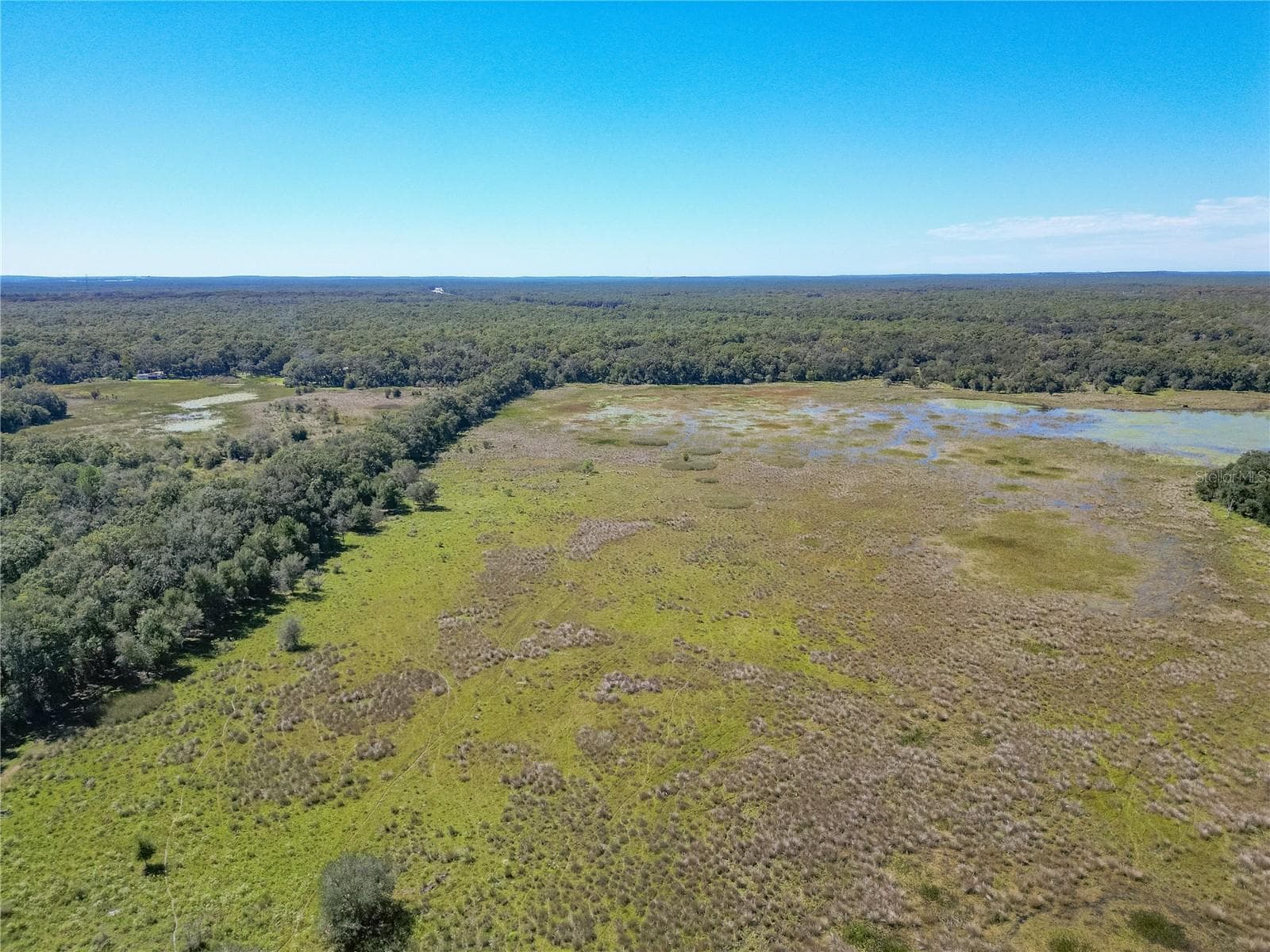 Land at TBD CR 673, WEBSTER, photo 50 of 69