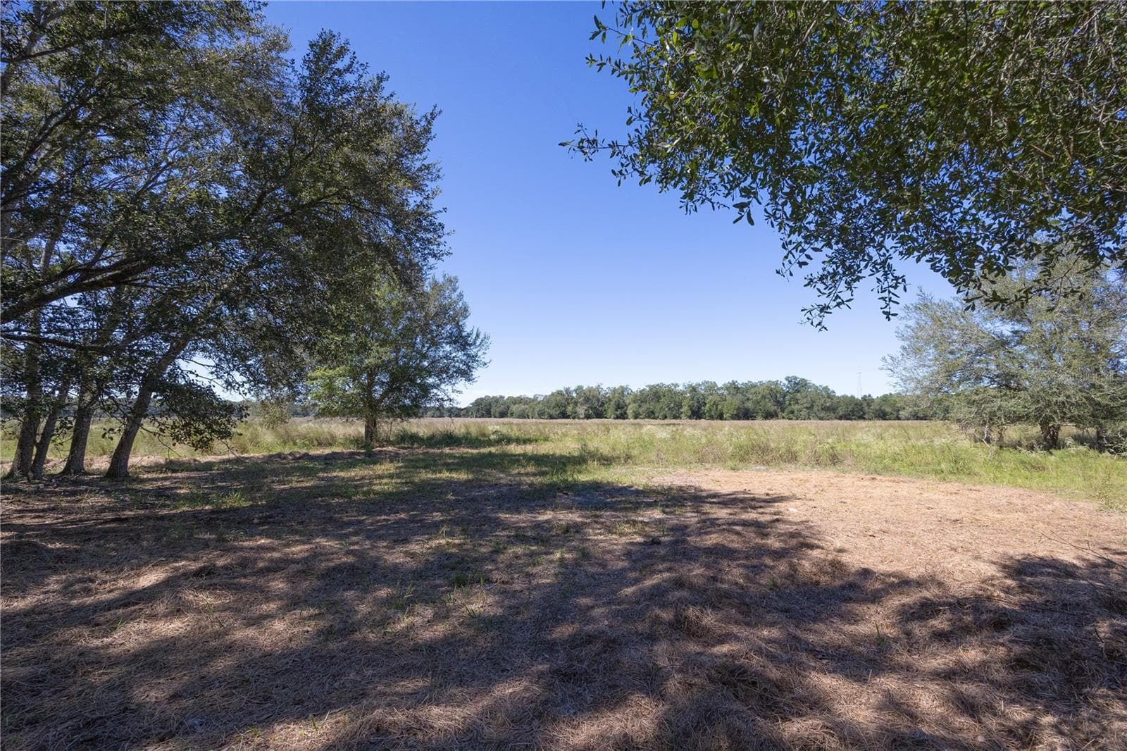 Land at TBD CR 673, WEBSTER, photo 64 of 69