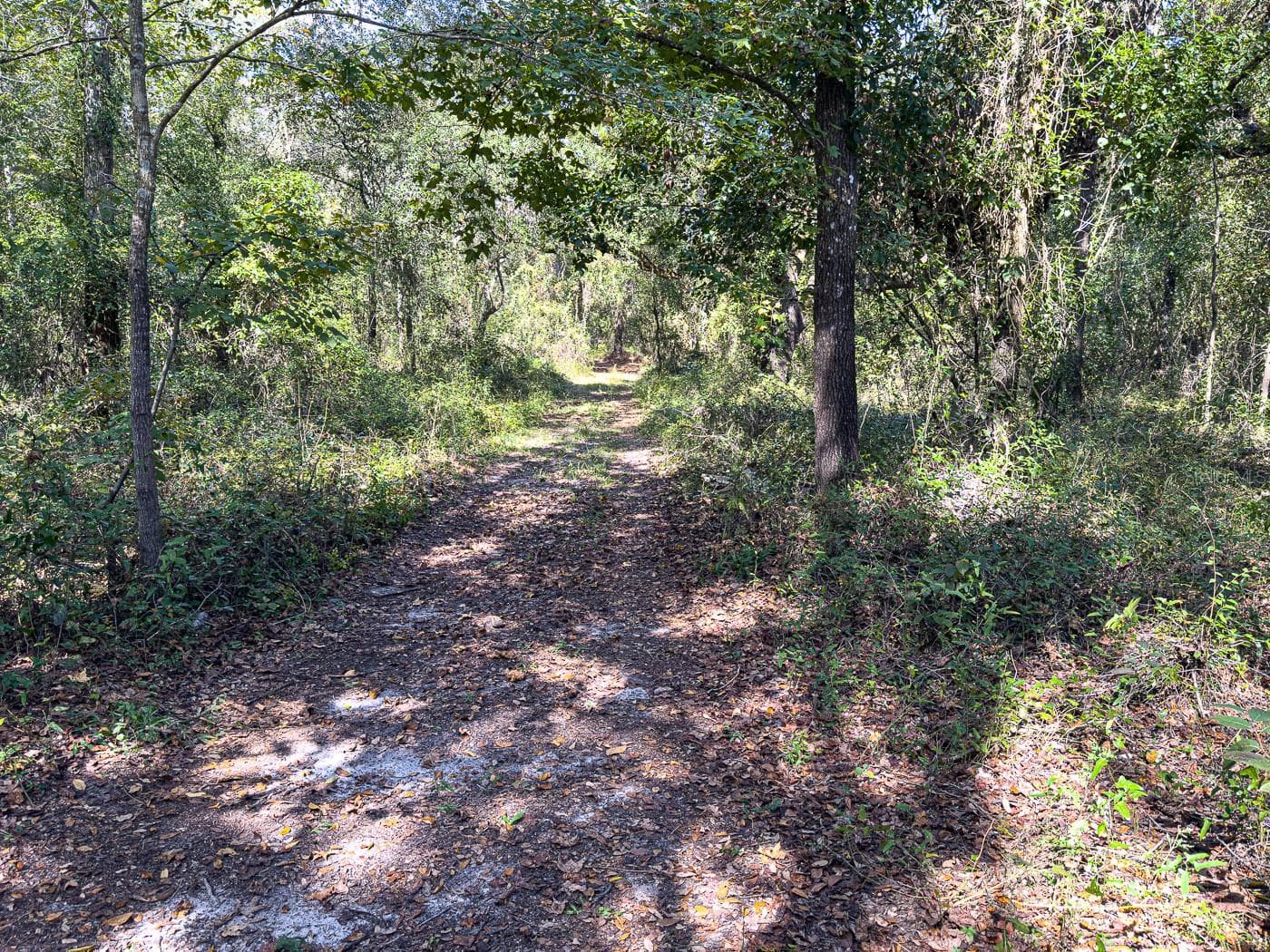 Land at 34095 HYATT RD, DADE CITY, photo 36 of 45