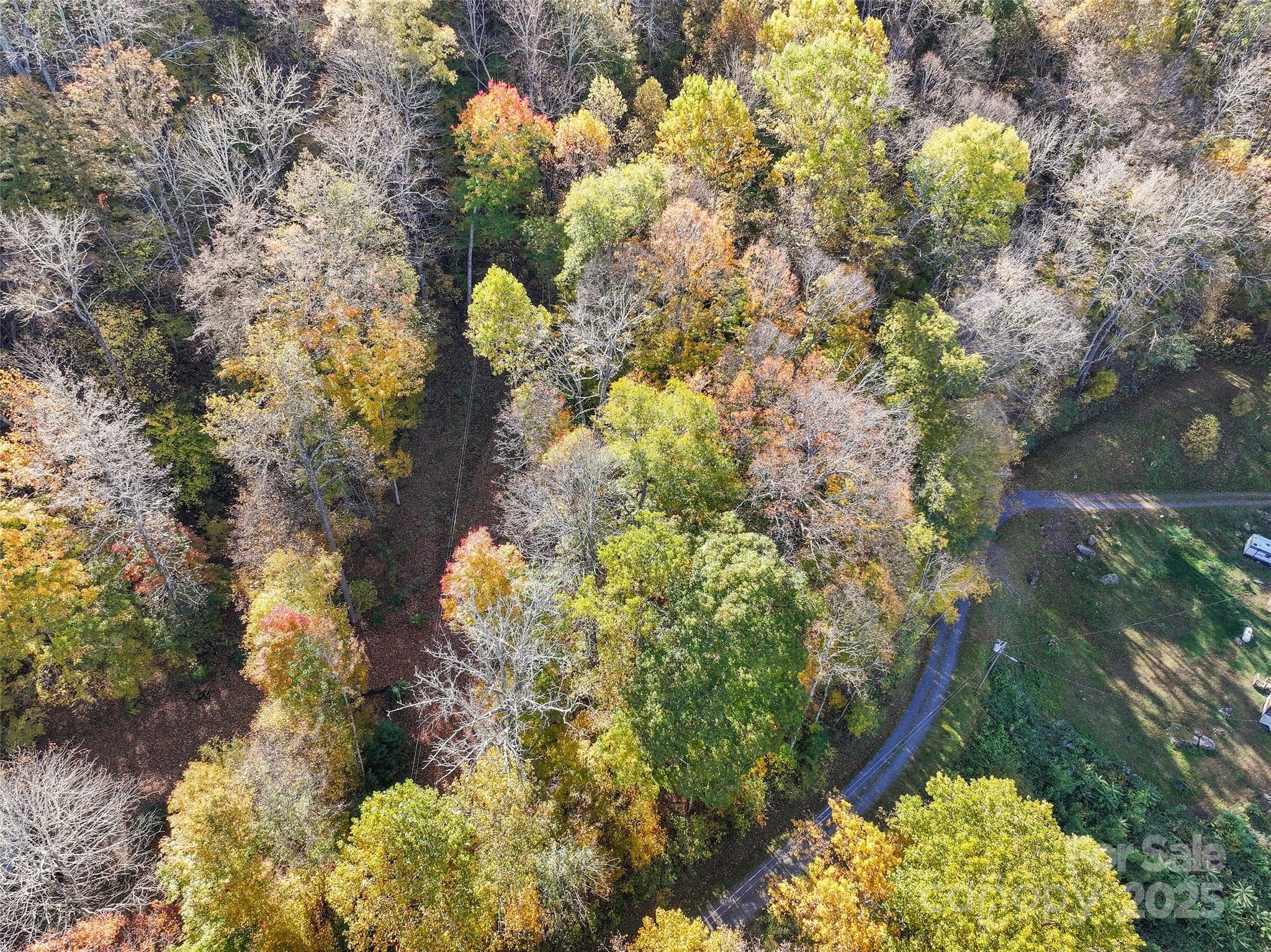 Lot at Waynesville, photo 3 of 9