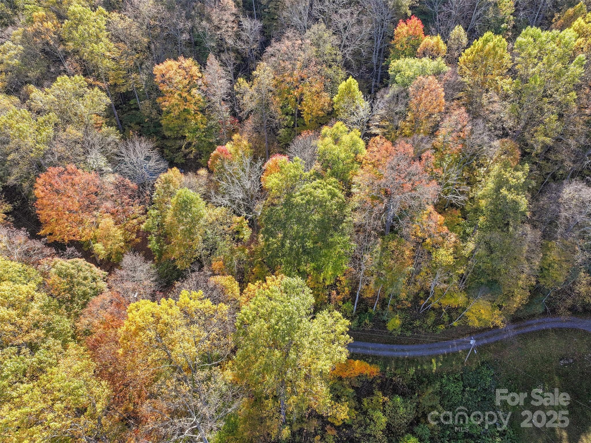 Lot at Waynesville, photo 4 of 9