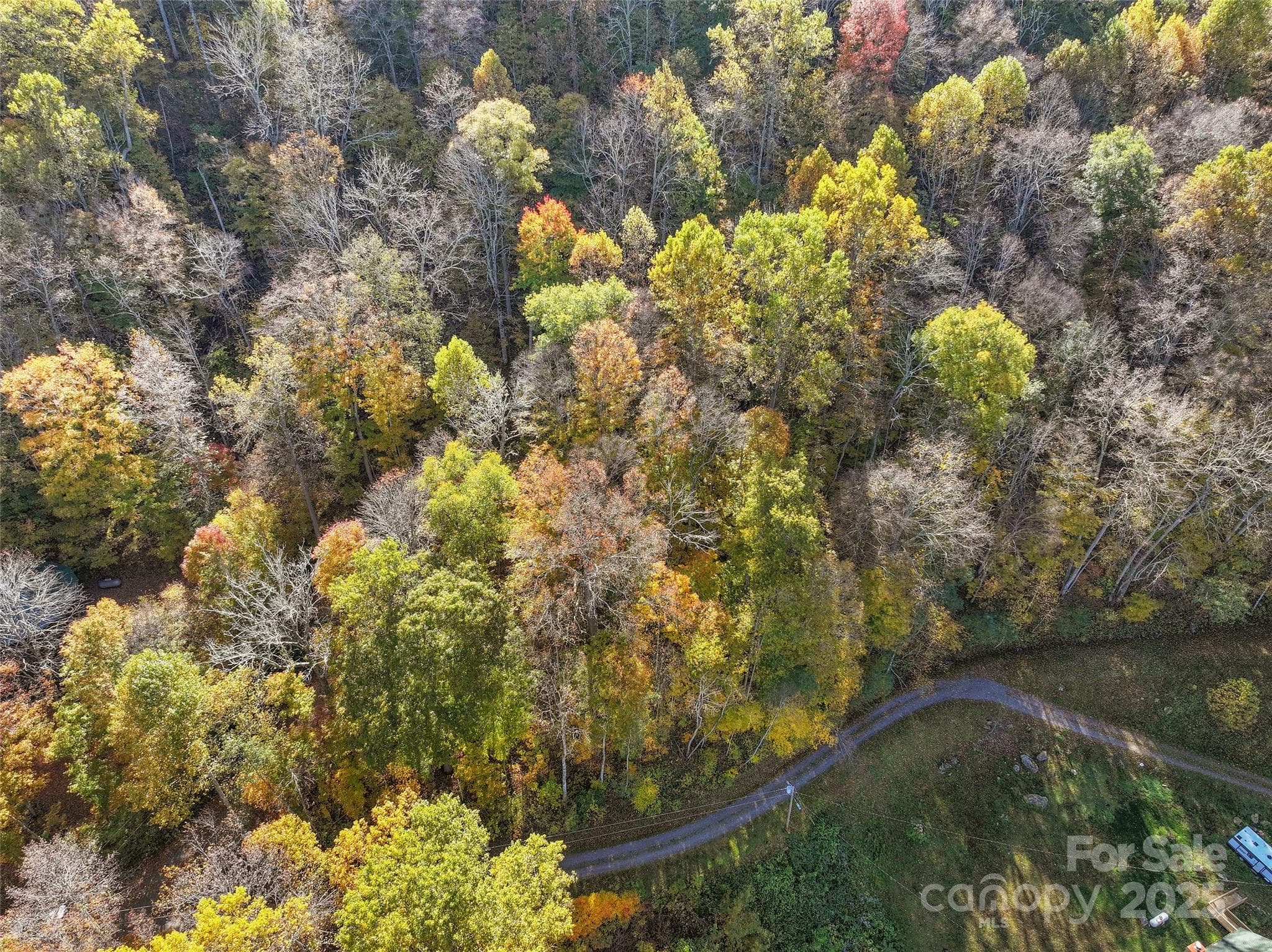 Lot at Waynesville, photo 5 of 9