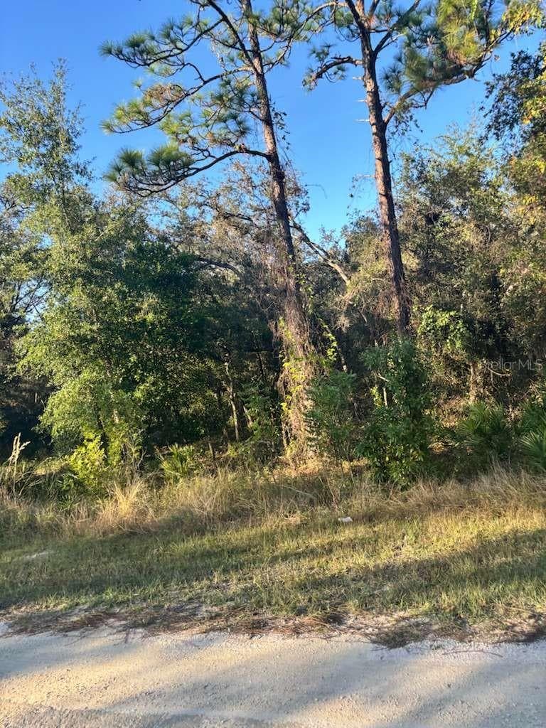 Land at 33193 EASTER DR, WEBSTER, photo 4 of 6