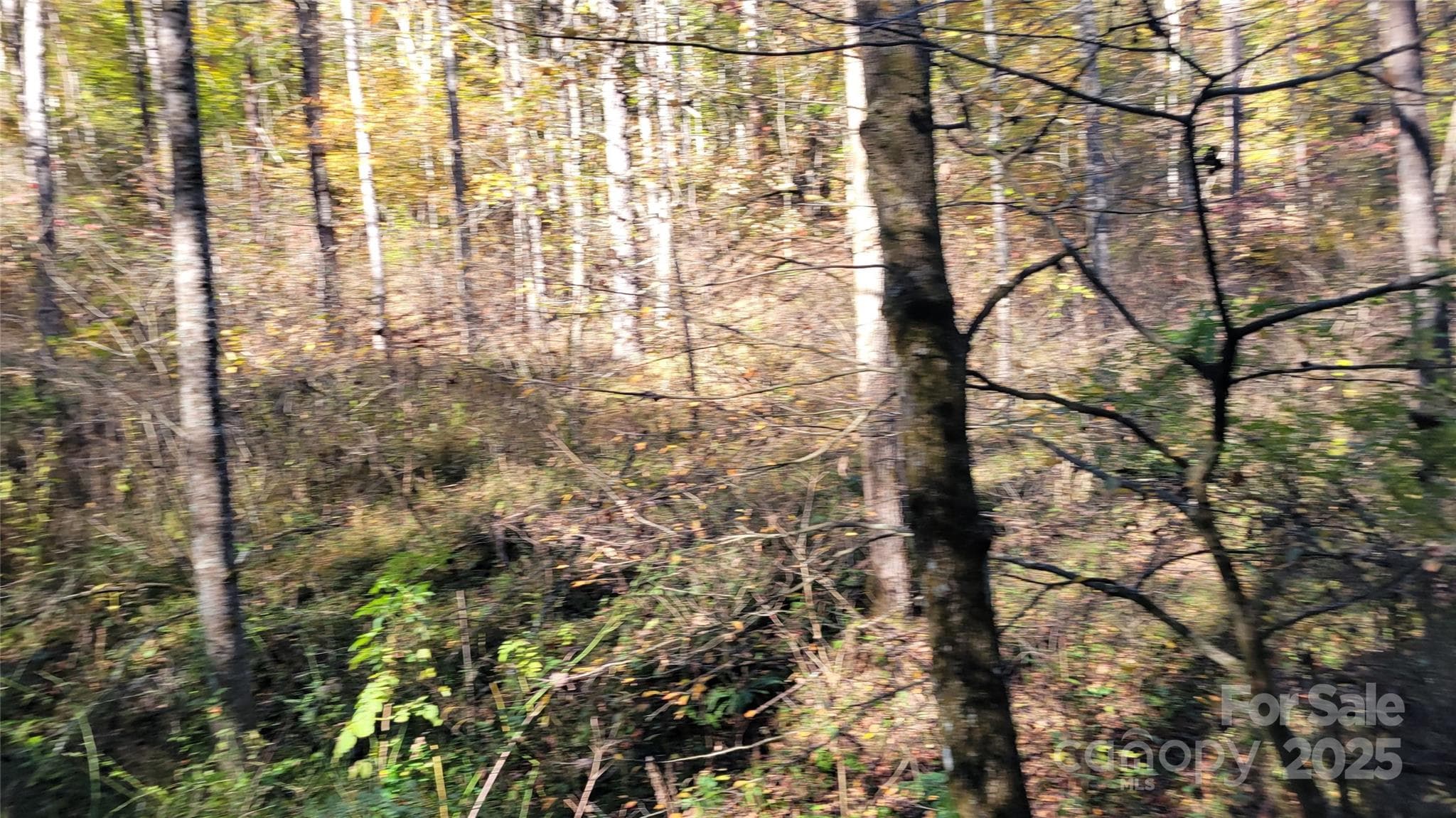 Lot at 000 Cabin Hill Road, Green Mountain, photo 11 of 11