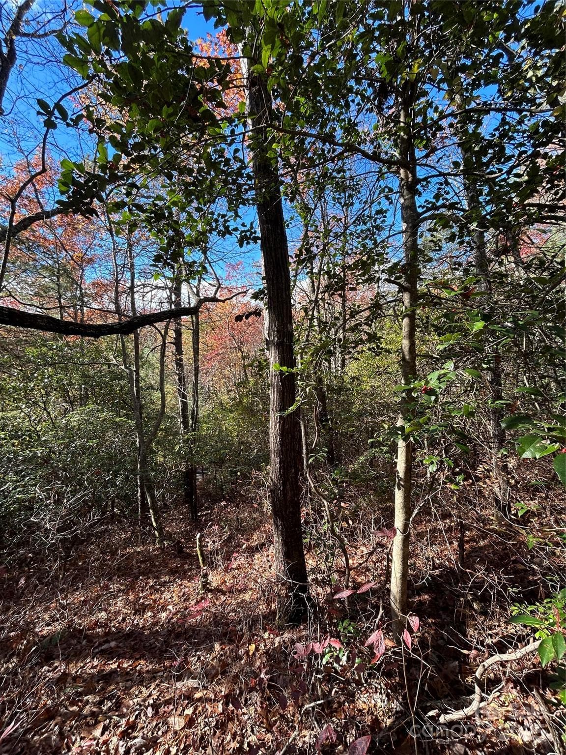 Lot at Brevard, photo 6 of 7