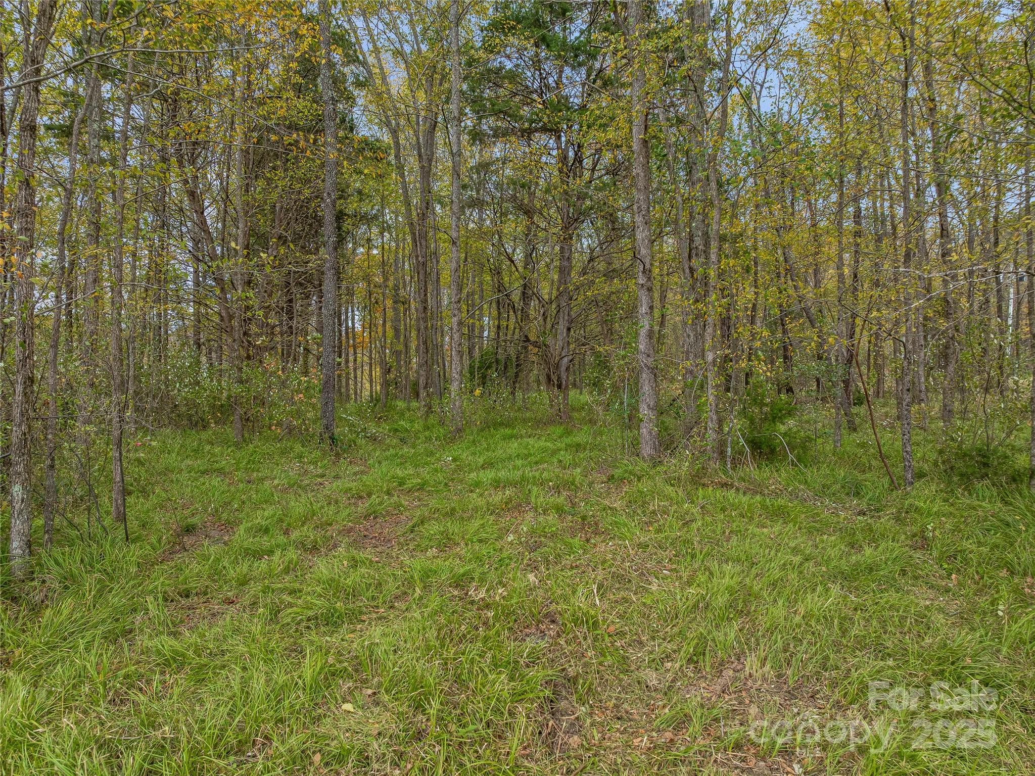 Future build sites or campground - 1640, 1641, 1642 River Road, Hot Springs