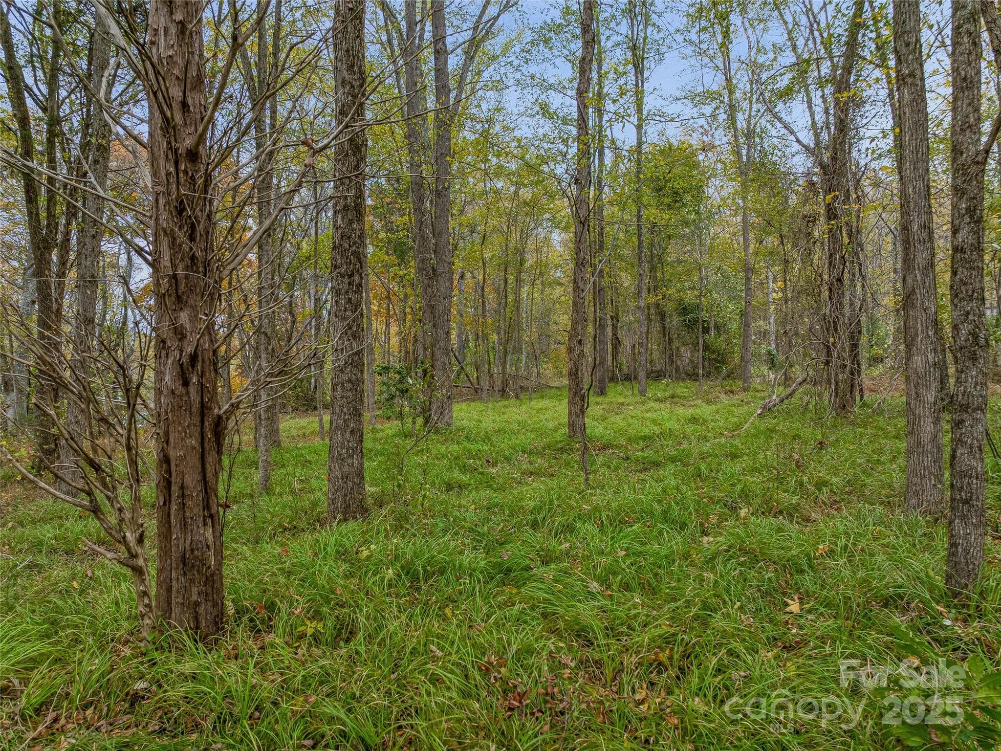 Future build sites or campground - 1640, 1641, 1642 River Road, Hot Springs