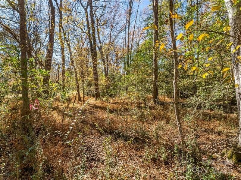 Lot at Morganton, photo 2 of 10