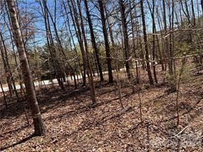 Acreage at 0000 Elliot Lane, Rutherfordton, photo 10 of 14