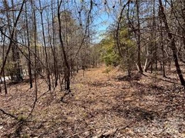 Acreage at 0000 Elliot Lane, Rutherfordton, photo 13 of 14