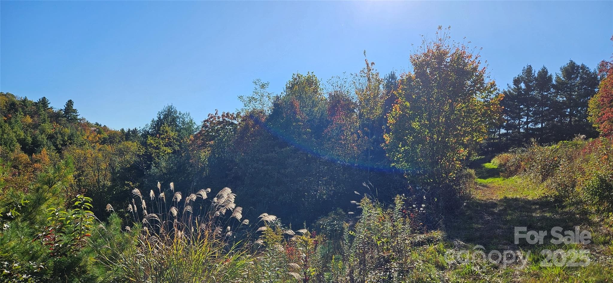 Acreage at 0 Clarktown Road, Newland, photo 5 of 5