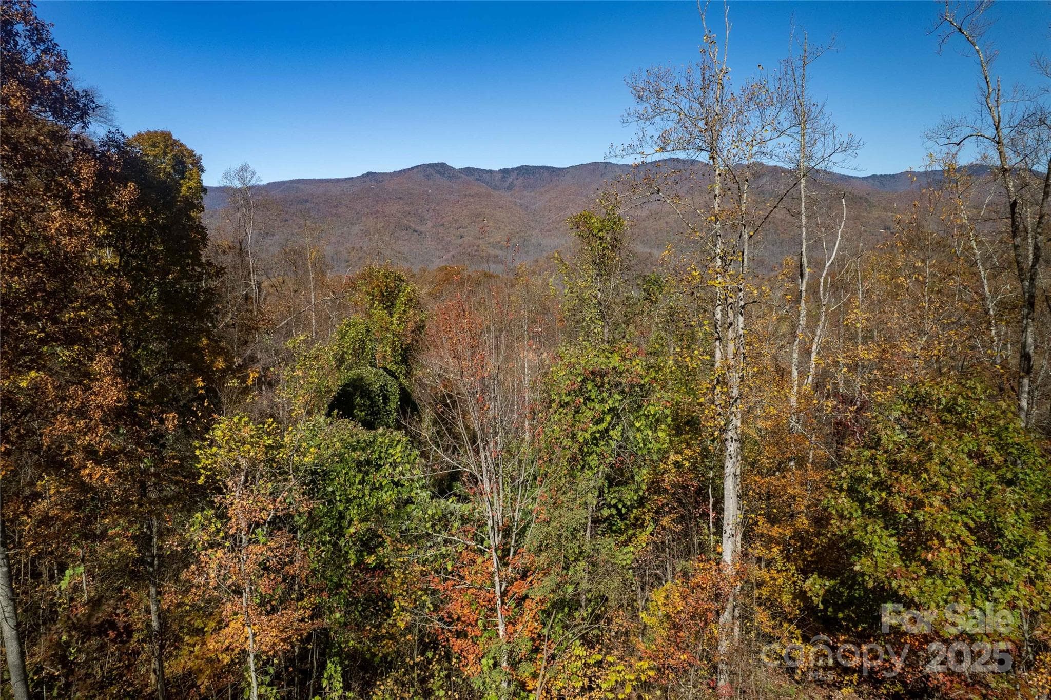 Acreage at Sylva, photo 23 of 28