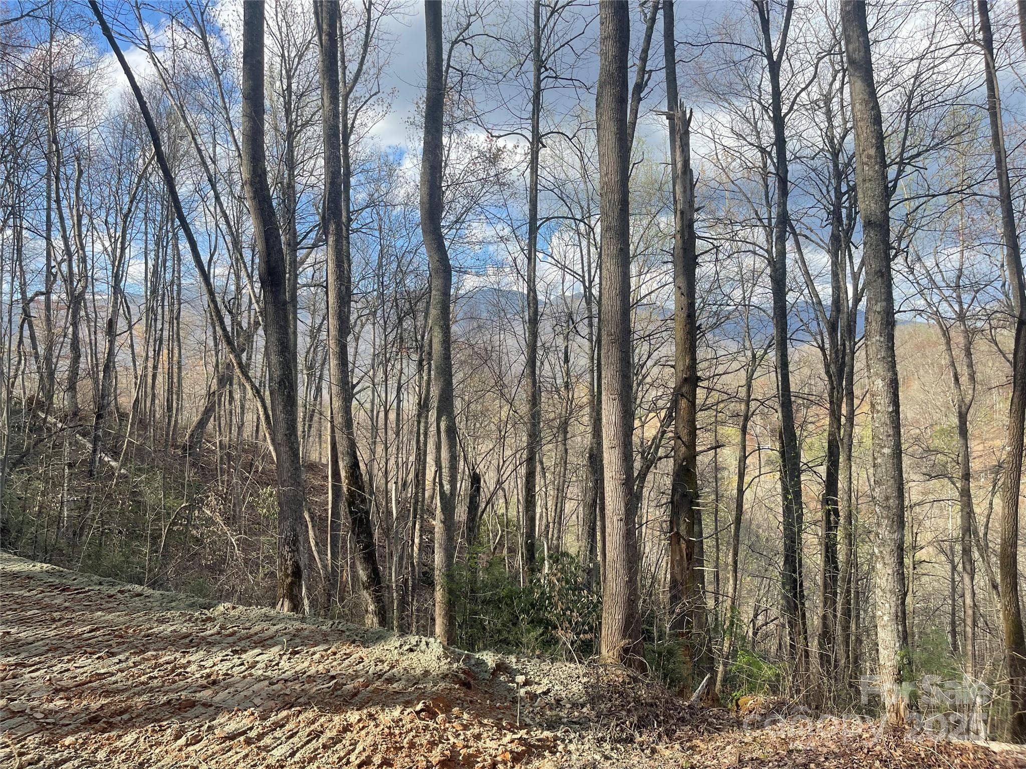 Acreage at Sylva, photo 3 of 28