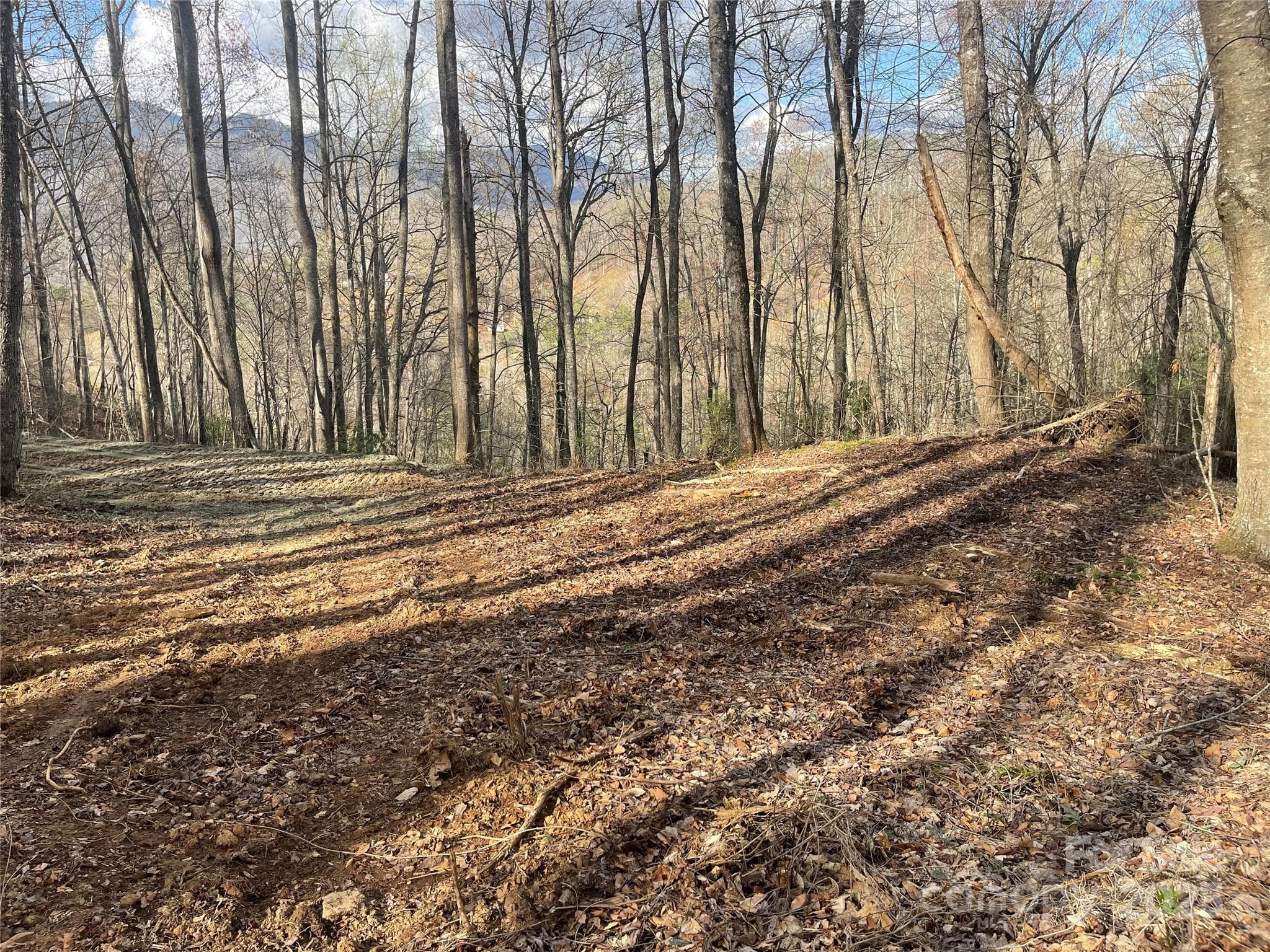 Acreage at Sylva, photo 4 of 28