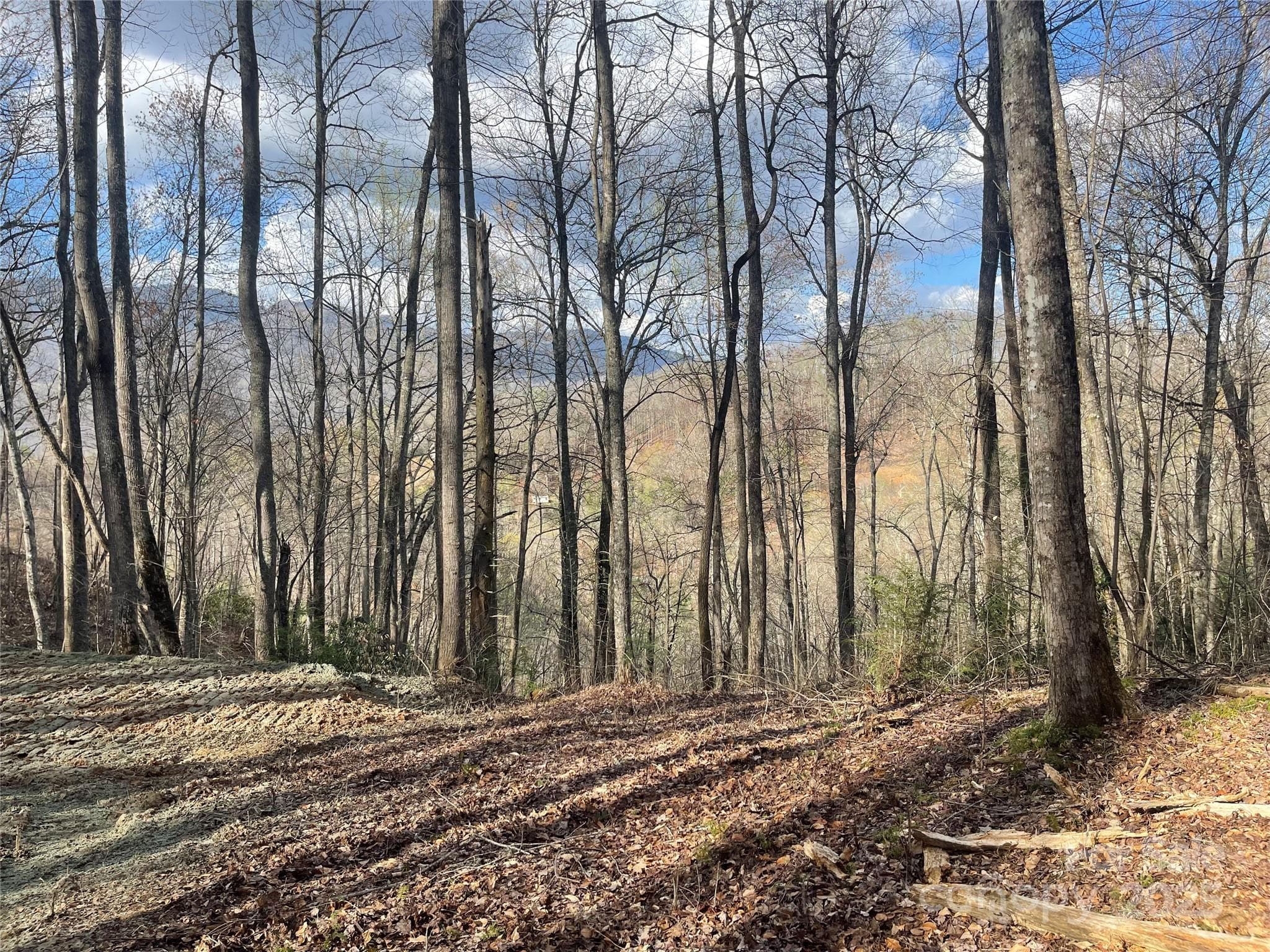 Acreage at Sylva, photo 5 of 28