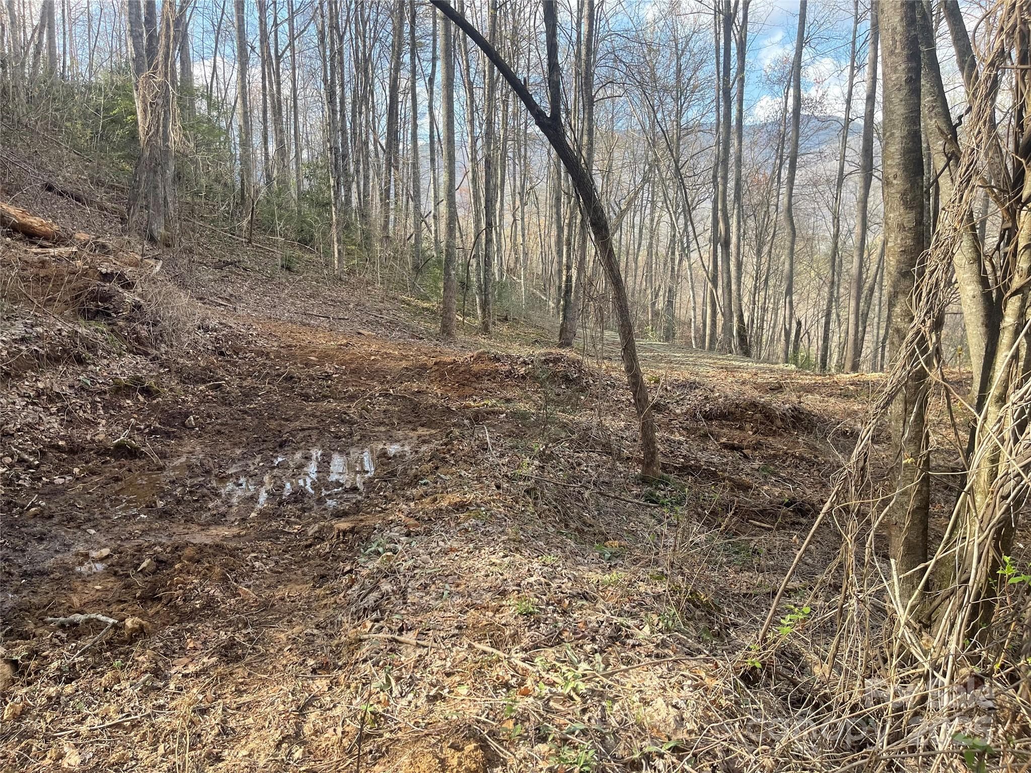 Acreage at Sylva, photo 6 of 28