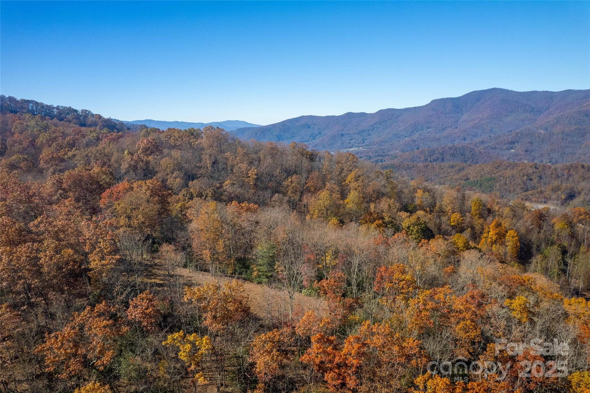 Acreage at Sylva, photo 7 of 28