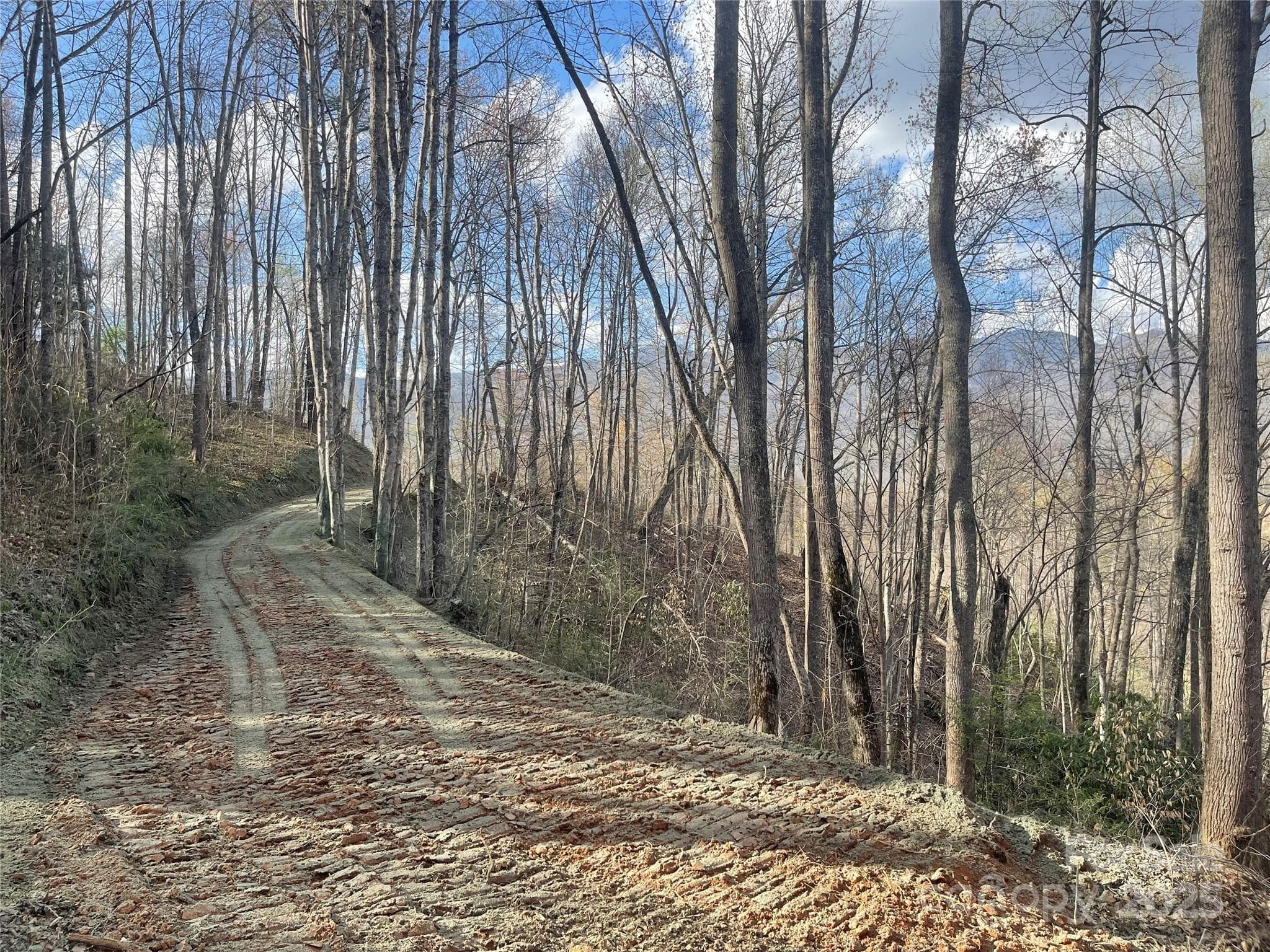 Acreage at Sylva, photo 8 of 28