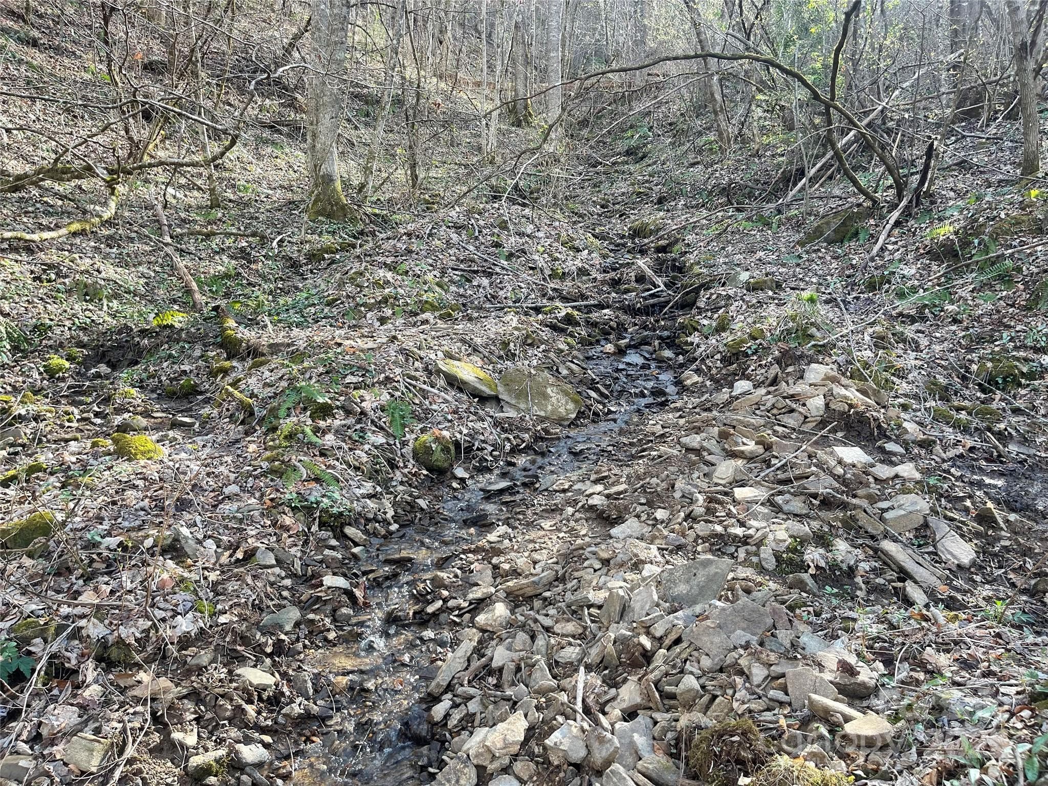 Acreage at Sylva, photo 9 of 28