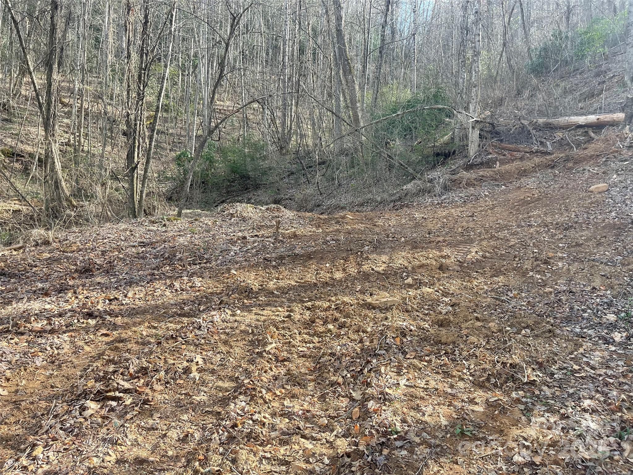 Acreage at Sylva, photo 10 of 28