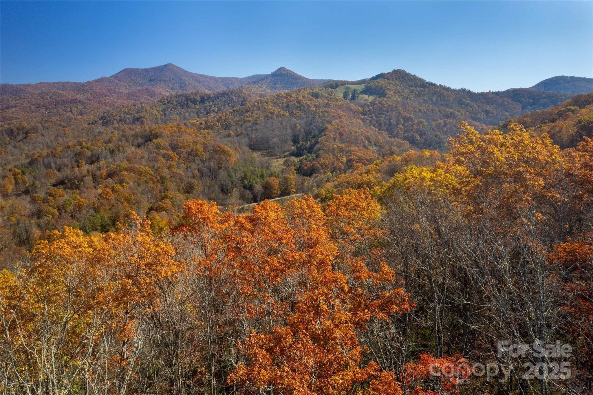 Acreage at Sylva, photo 11 of 28