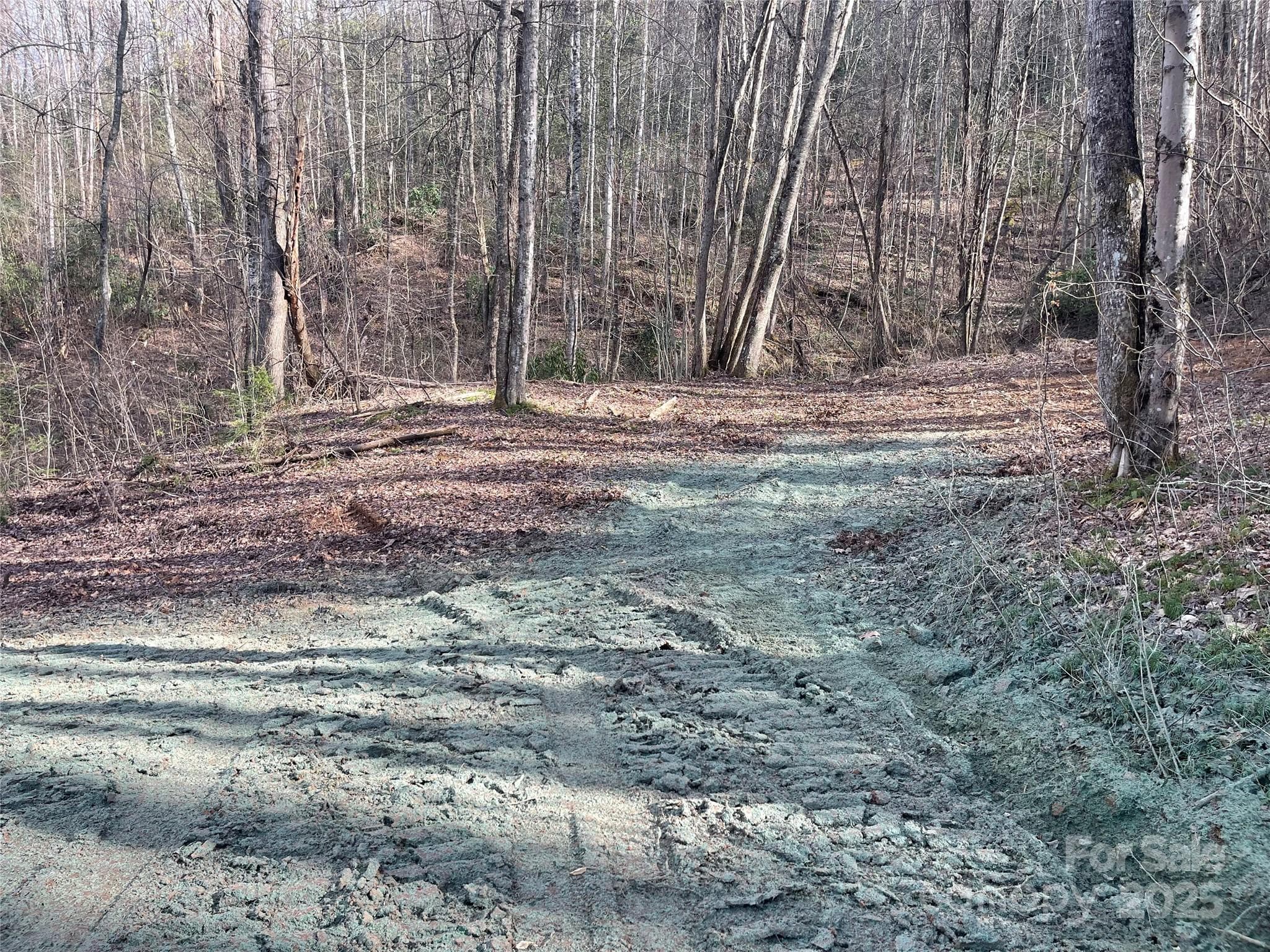 Acreage at Sylva, photo 12 of 28