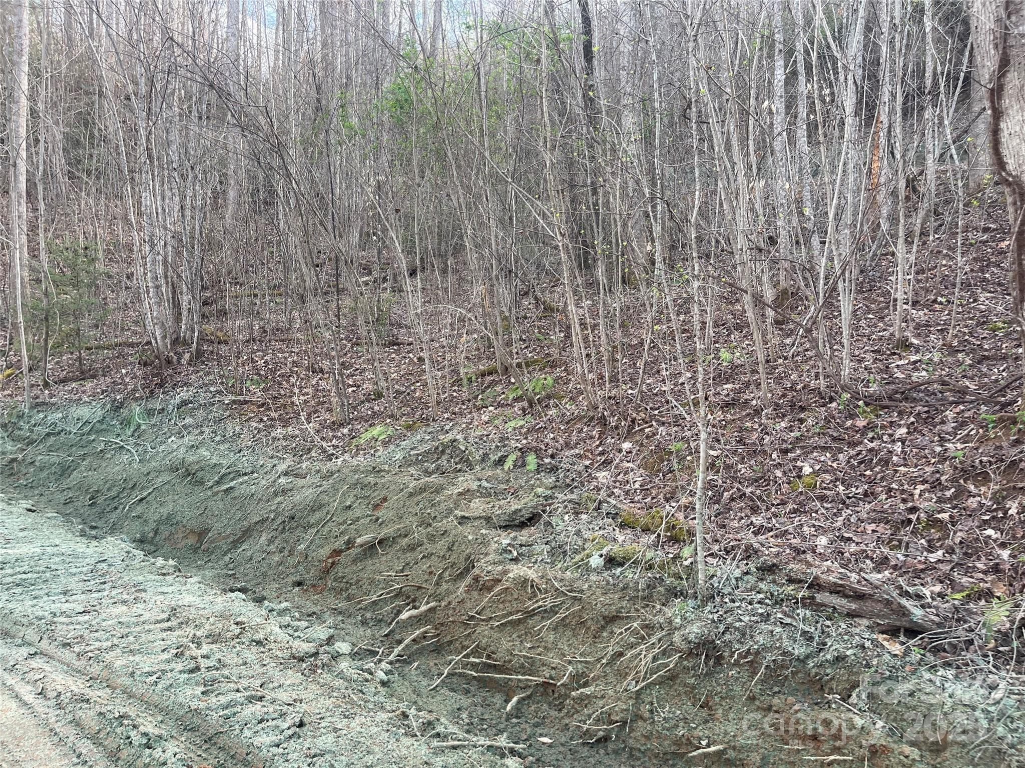 Acreage at Sylva, photo 13 of 28