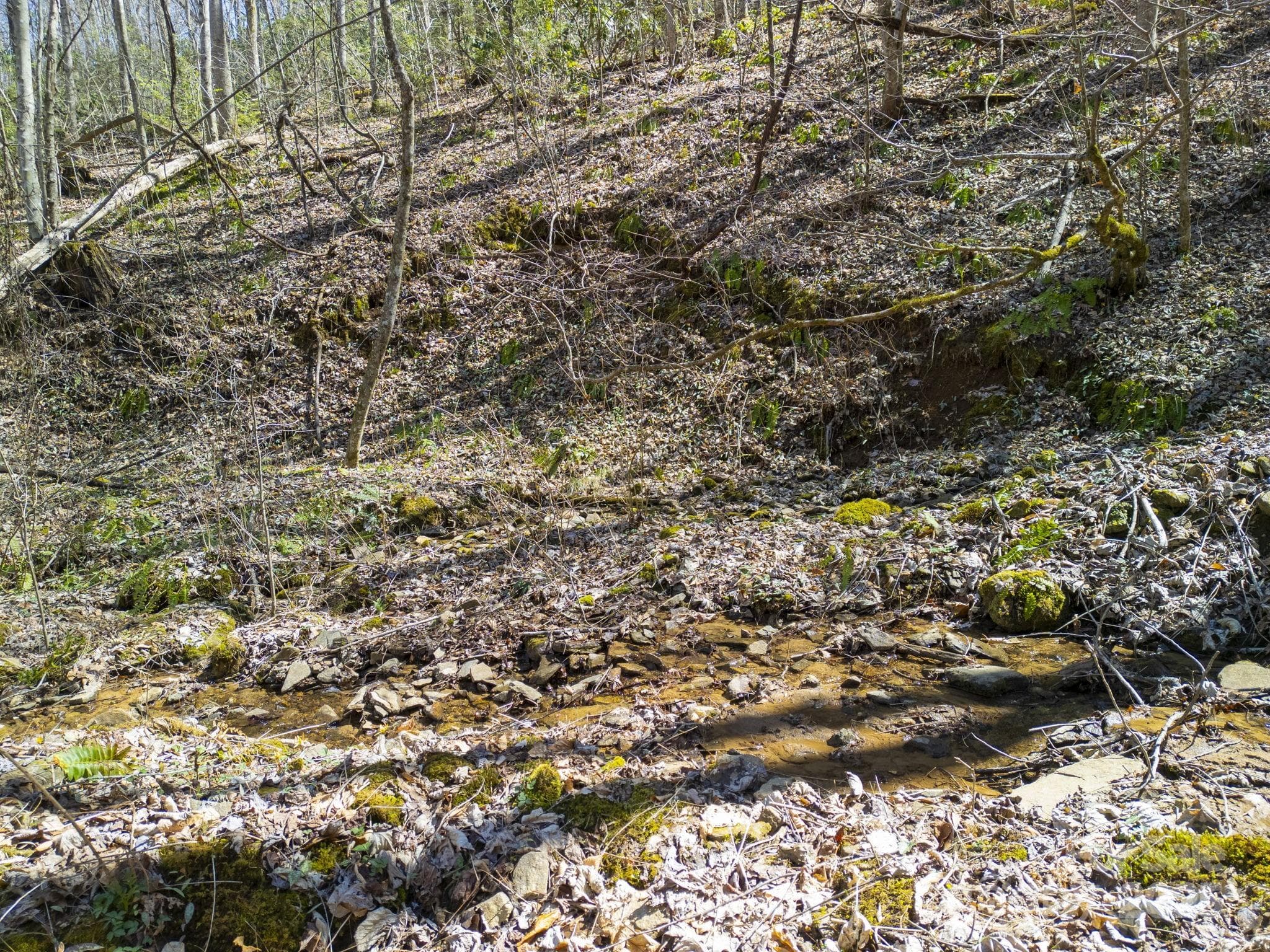 Acreage at Sylva, photo 14 of 28