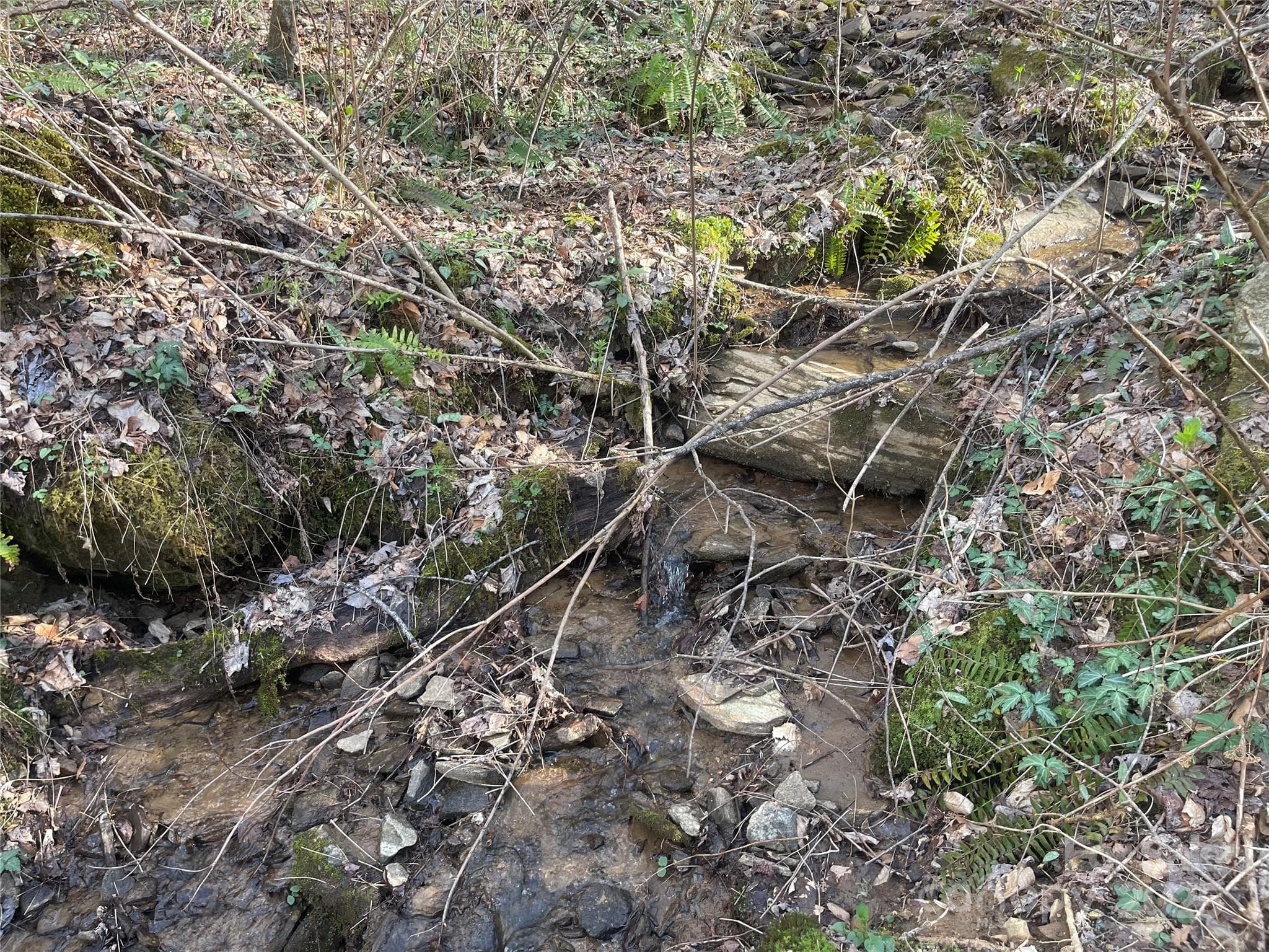 Acreage at Sylva, photo 16 of 28