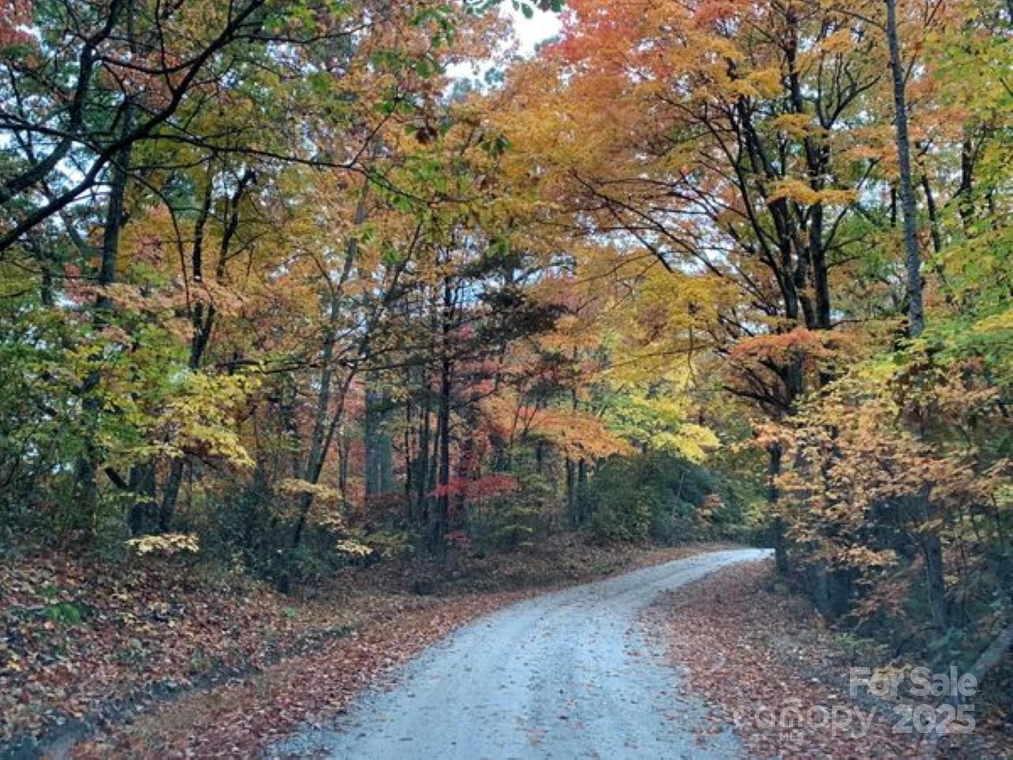 Lot at 00 Hickory Nut Lane, Lake Lure, photo 10 of 19