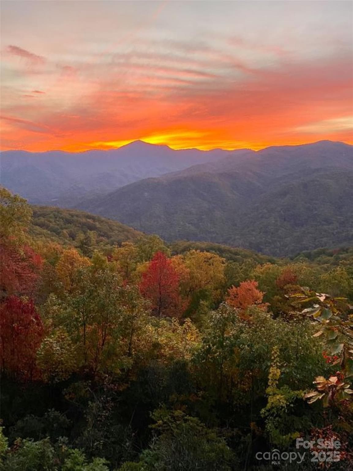 Lot at 00 Hickory Nut Lane, Lake Lure, photo 13 of 19